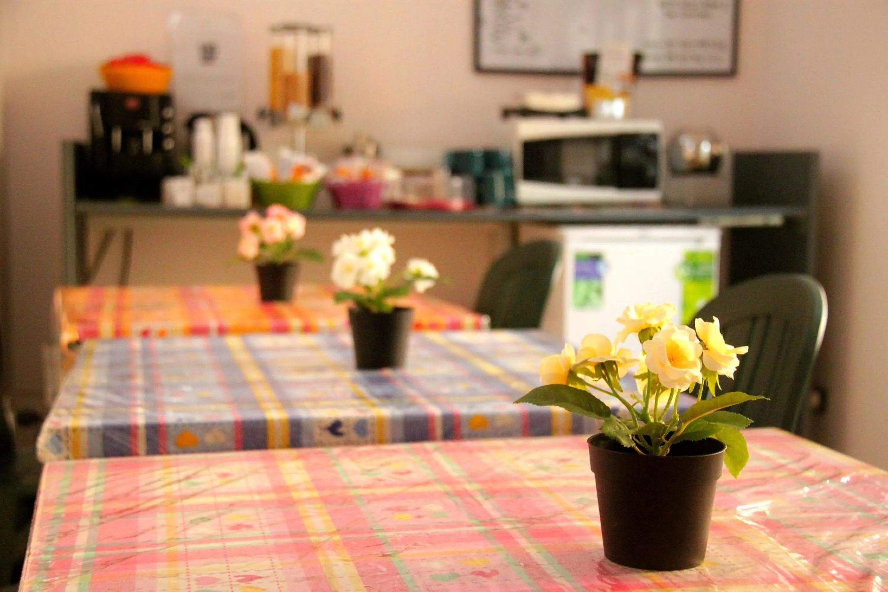 Restaurant/places to eat in Hello Roma B&B