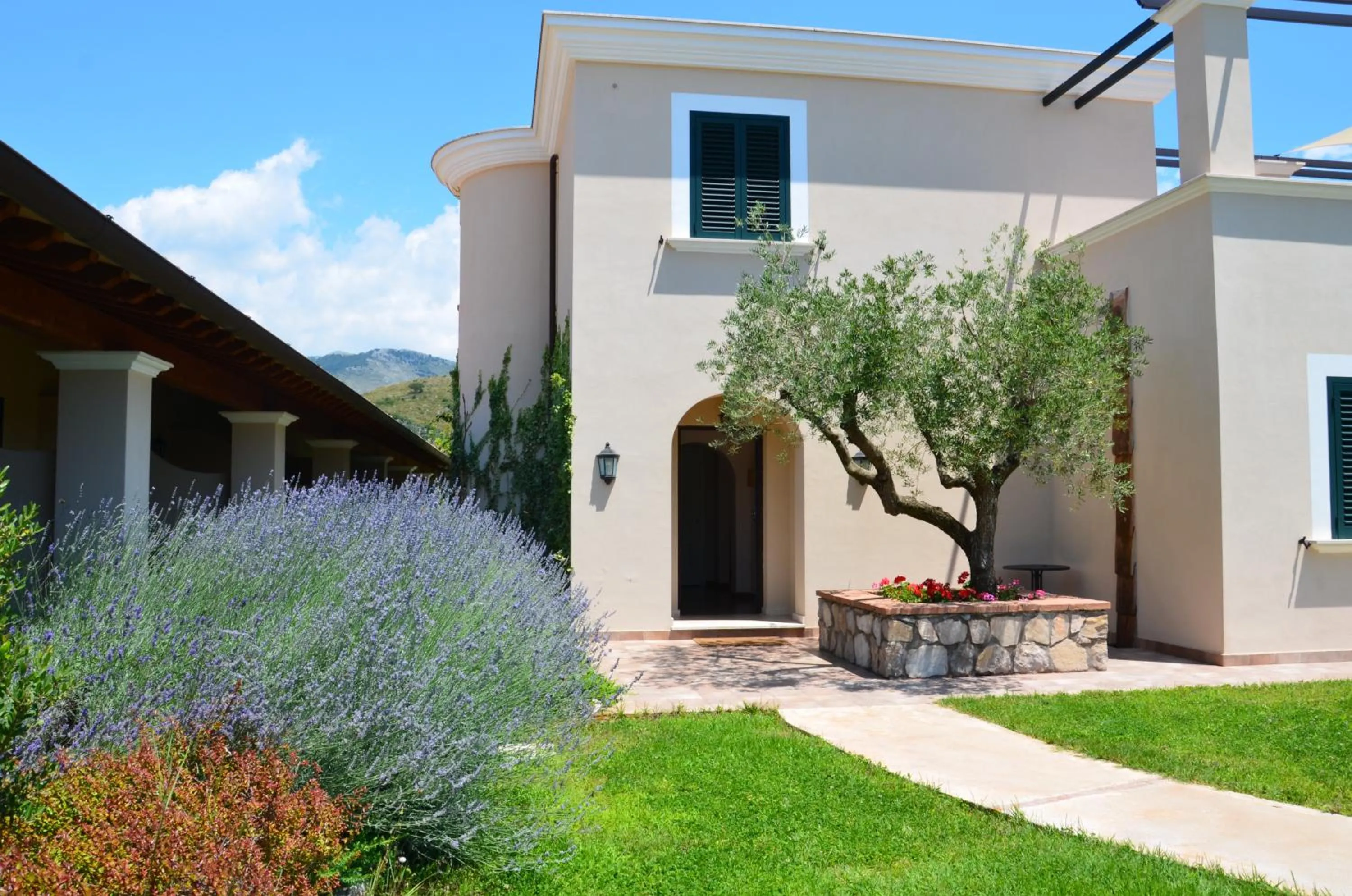 Other in Collina Degli Ulivi B&B