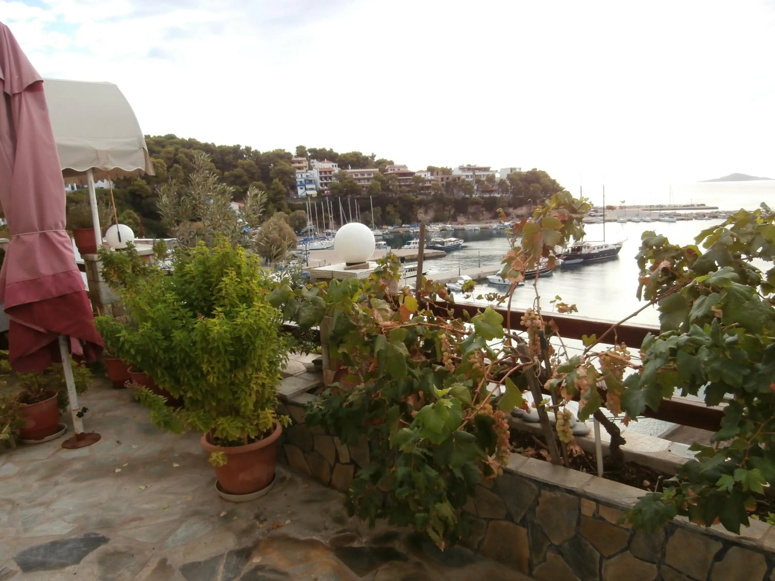 Garden in Haravgi Hotel