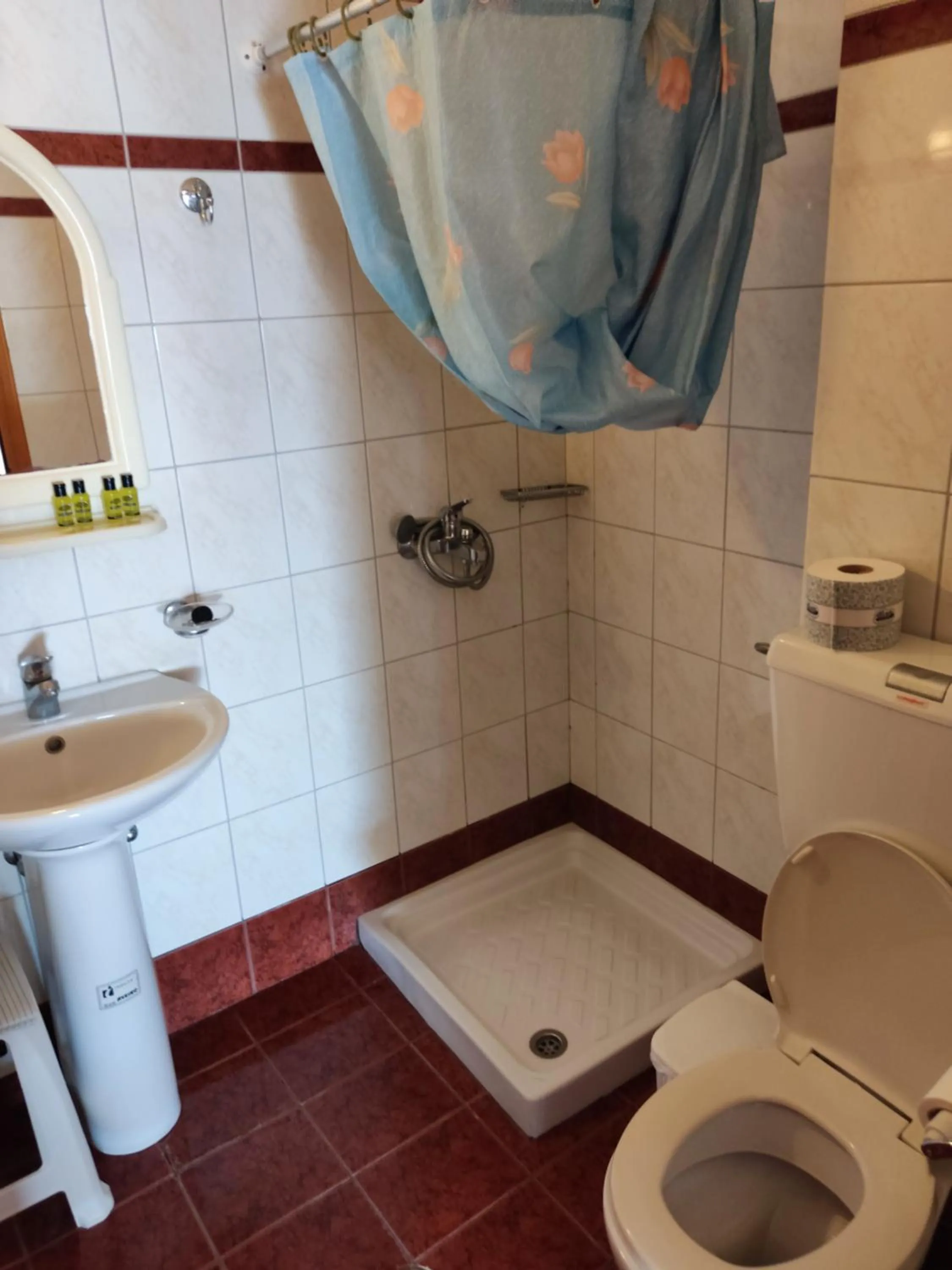 Toilet in Haravgi Hotel