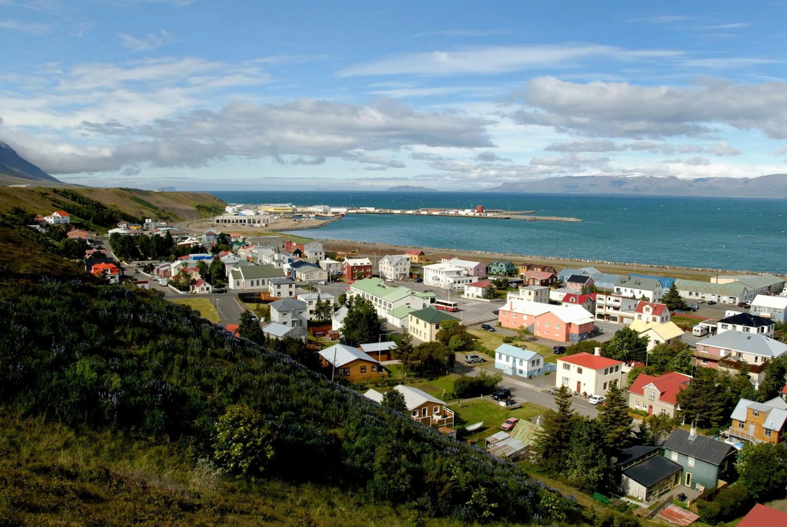 Summer in 550 Guesthouse