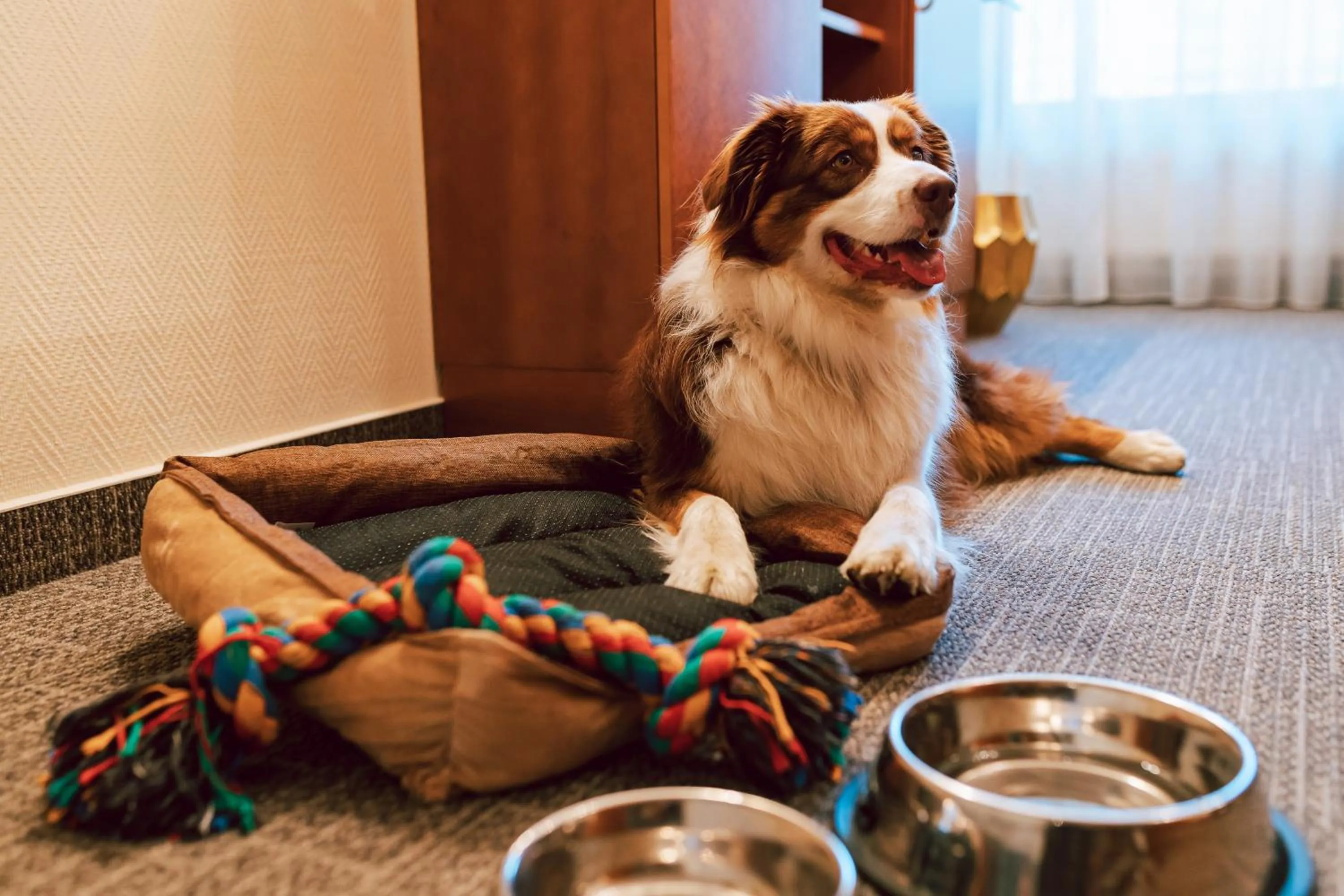 People in Hotel Kompas