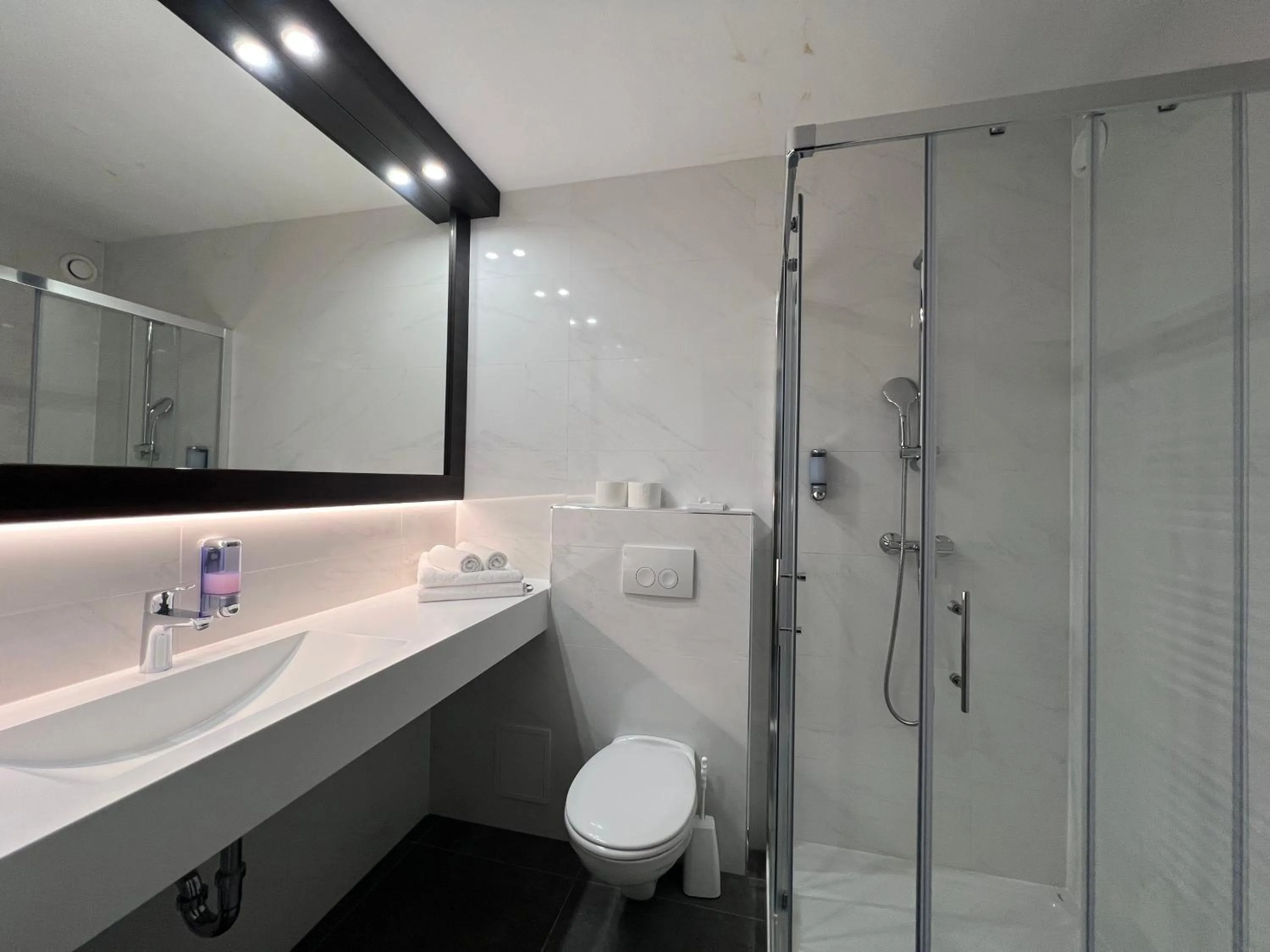 Bathroom in Hotel Alpina