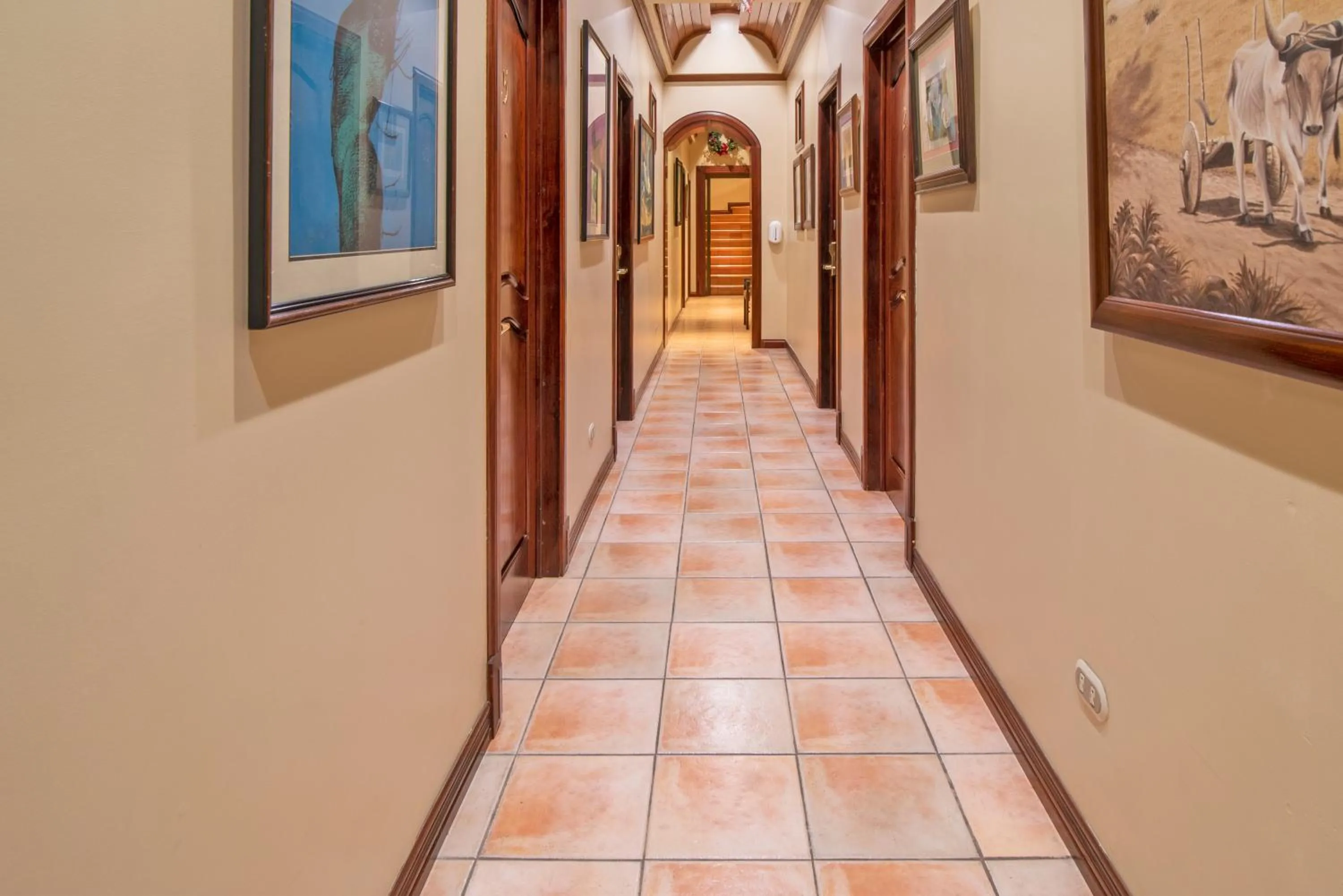 Area and facilities in Hotel Casa Roland San Jose