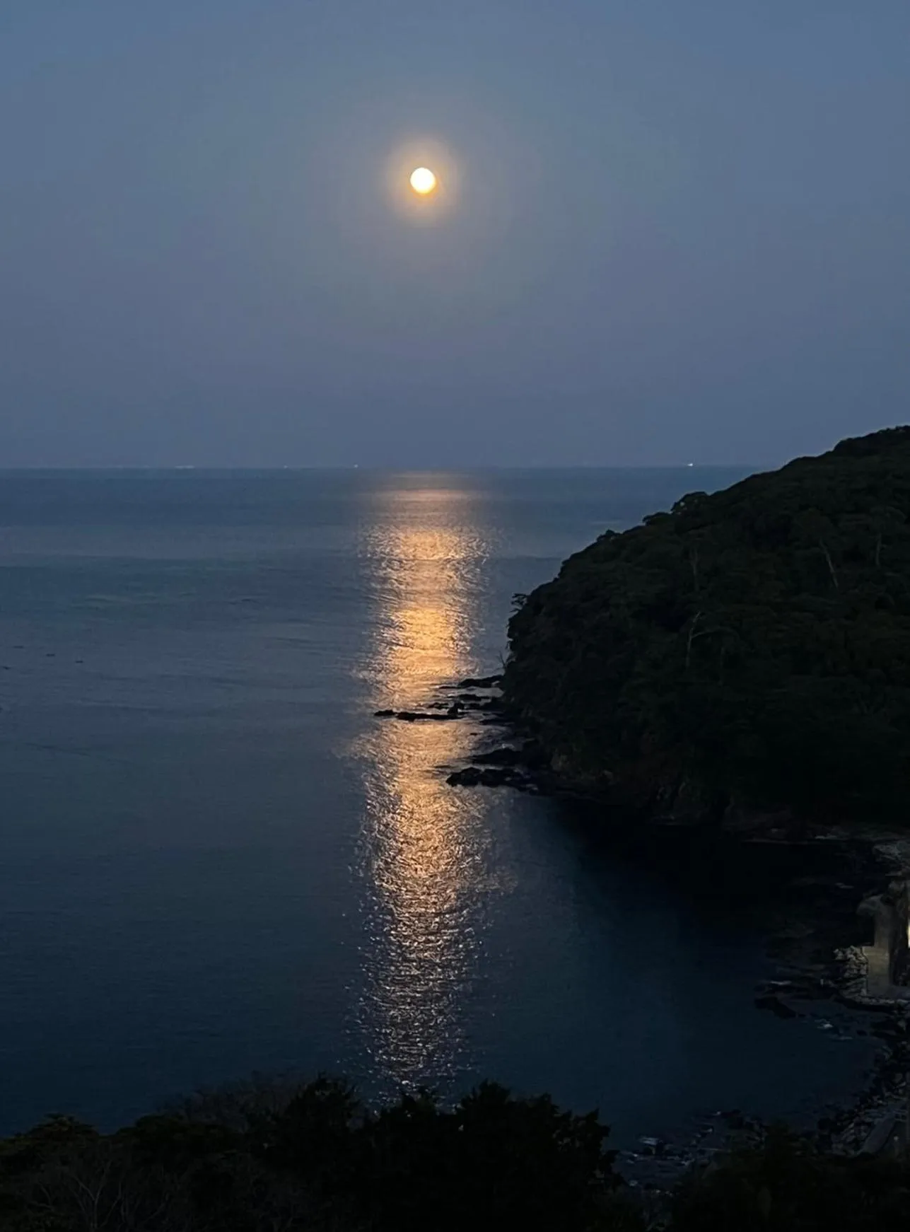 Manazuru Marin Hotel