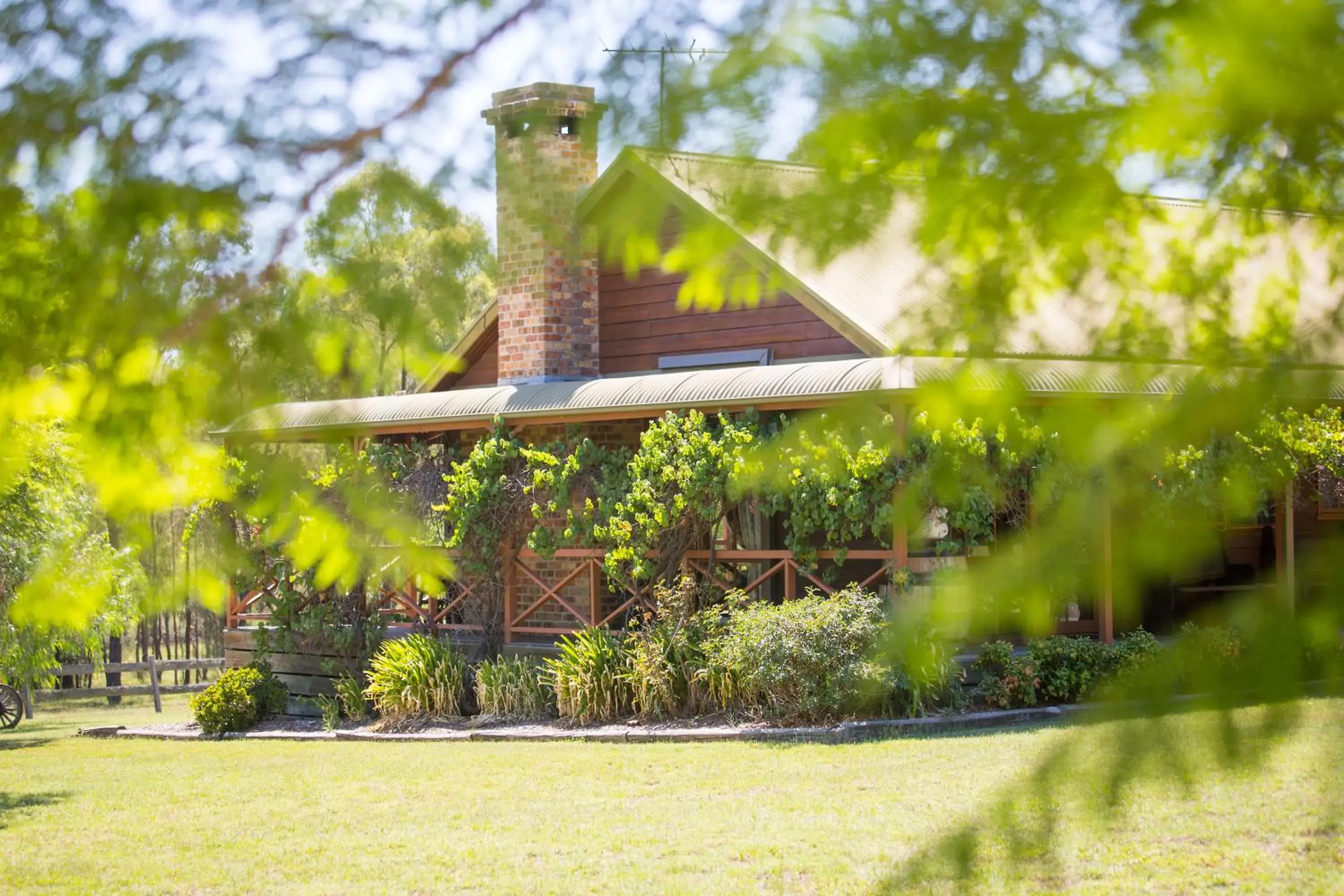 Silky Oak Cottage Silky Oak Cottage