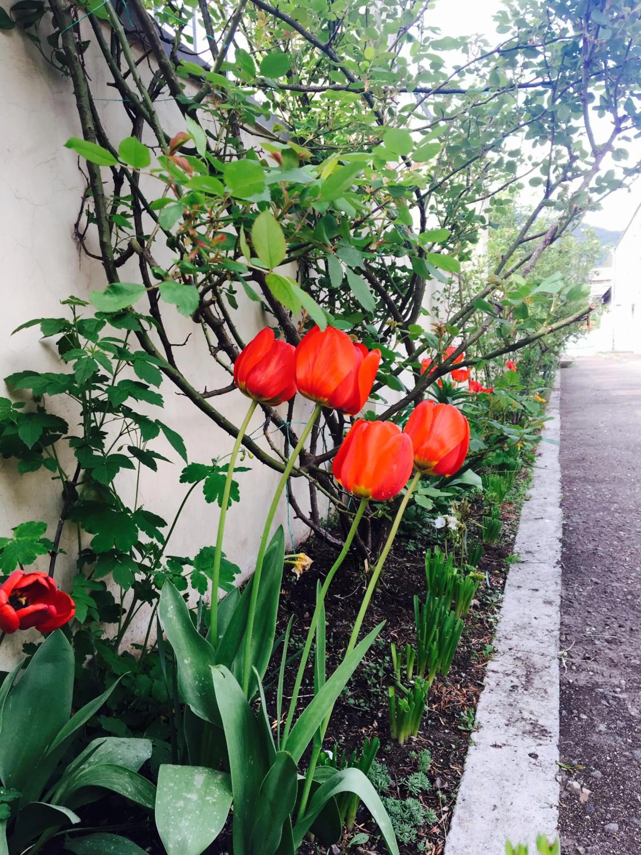 View (from property/room) in GreenWood Hotel