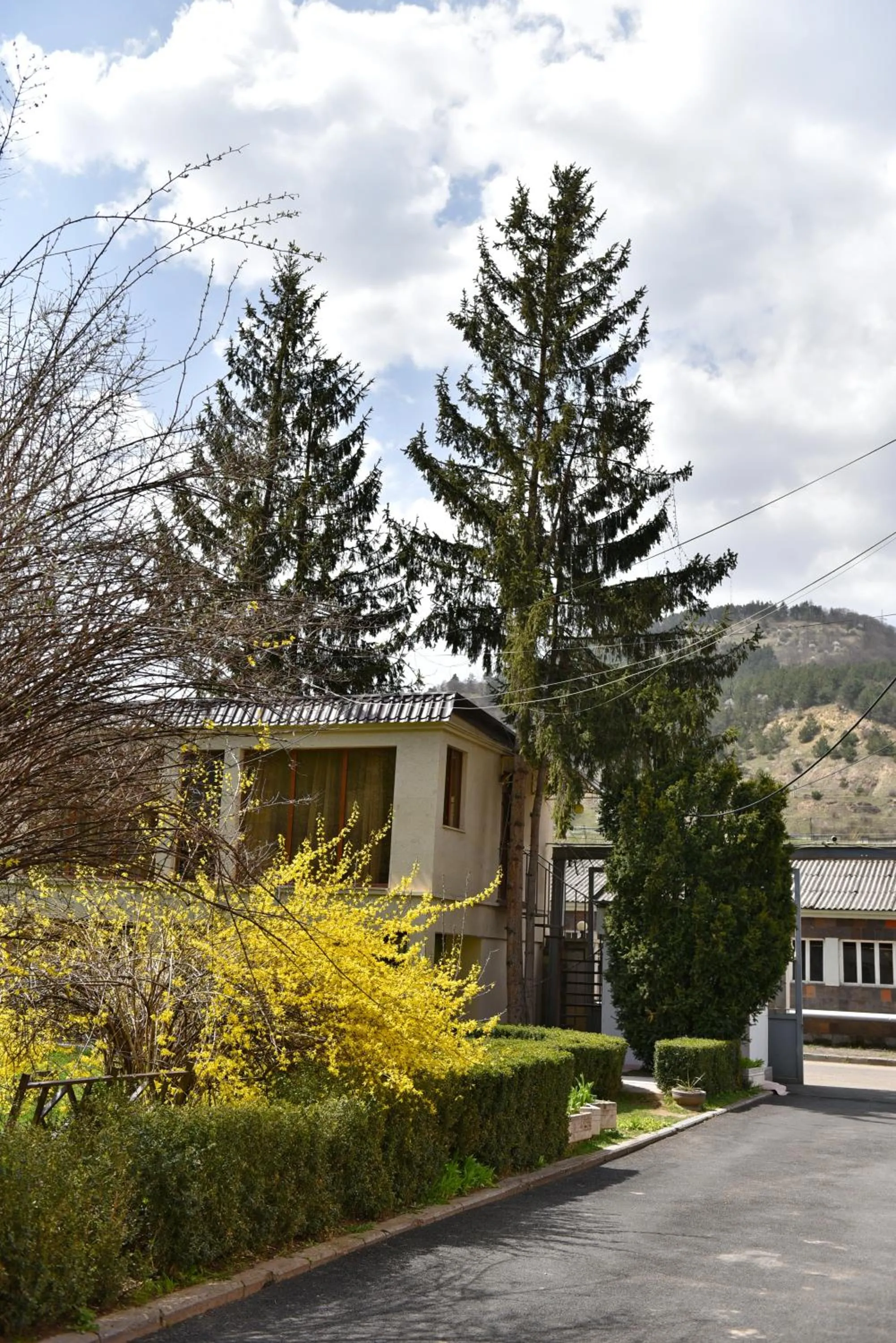Garden in GreenWood Hotel