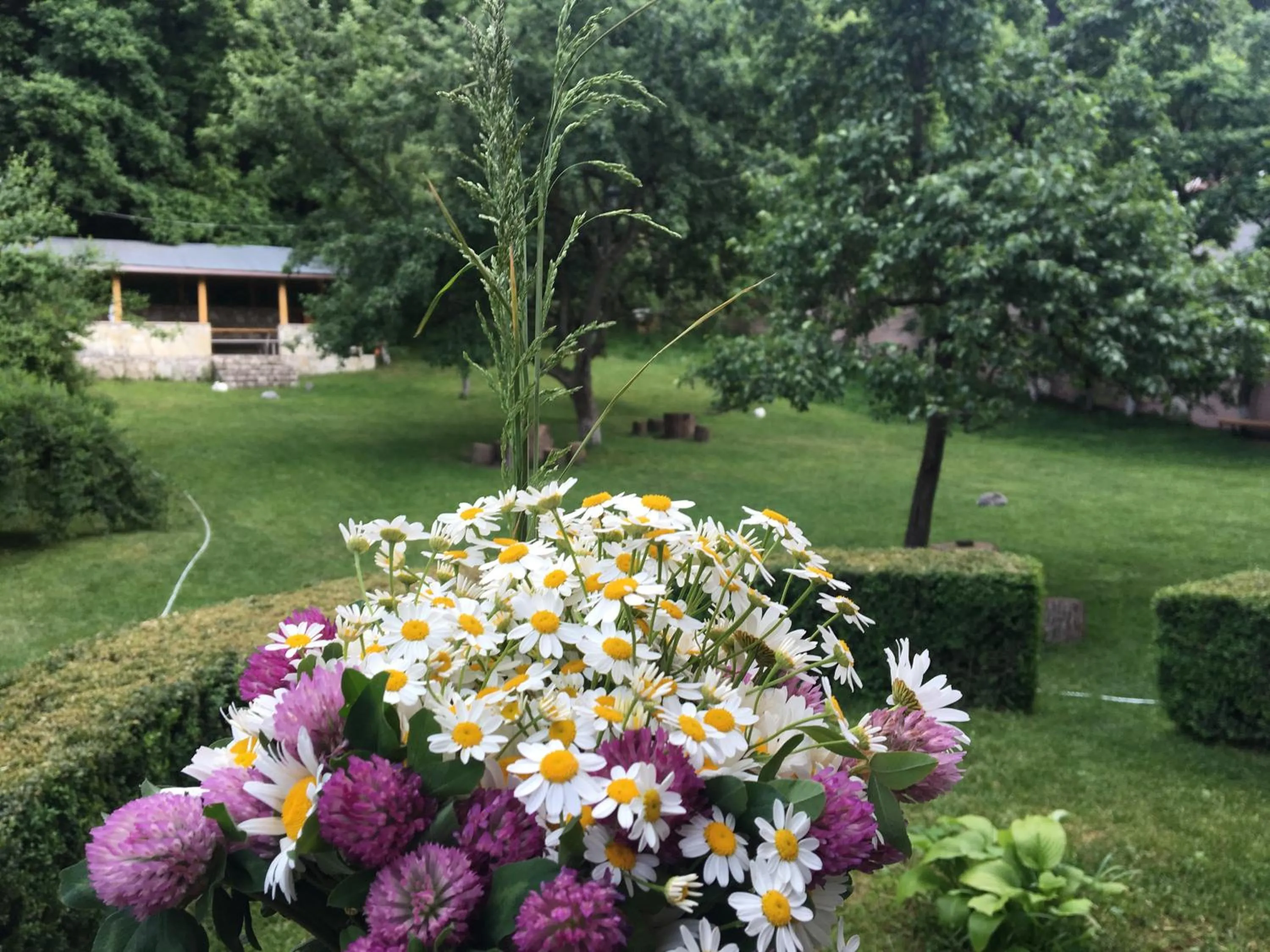 BBQ facilities in GreenWood Hotel