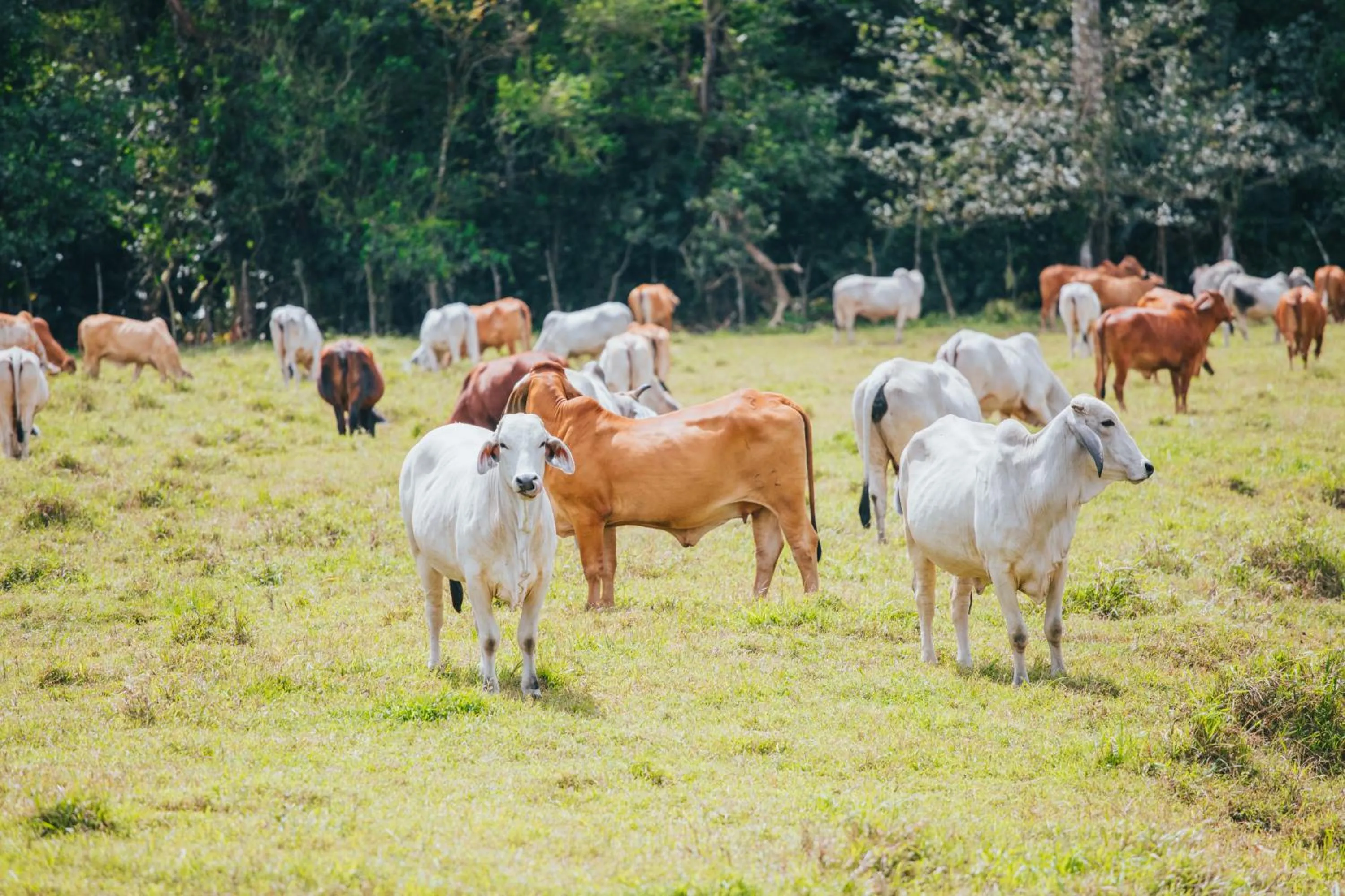 Property building in Tilajari Hotel Resort