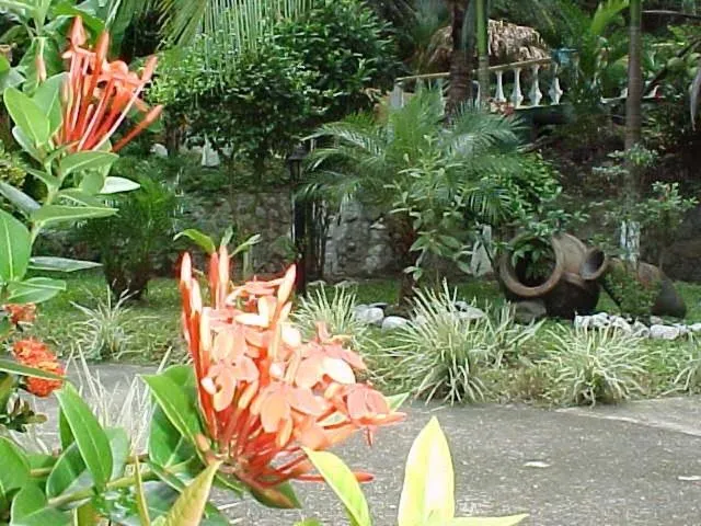Garden in Hotel Villa Romantica