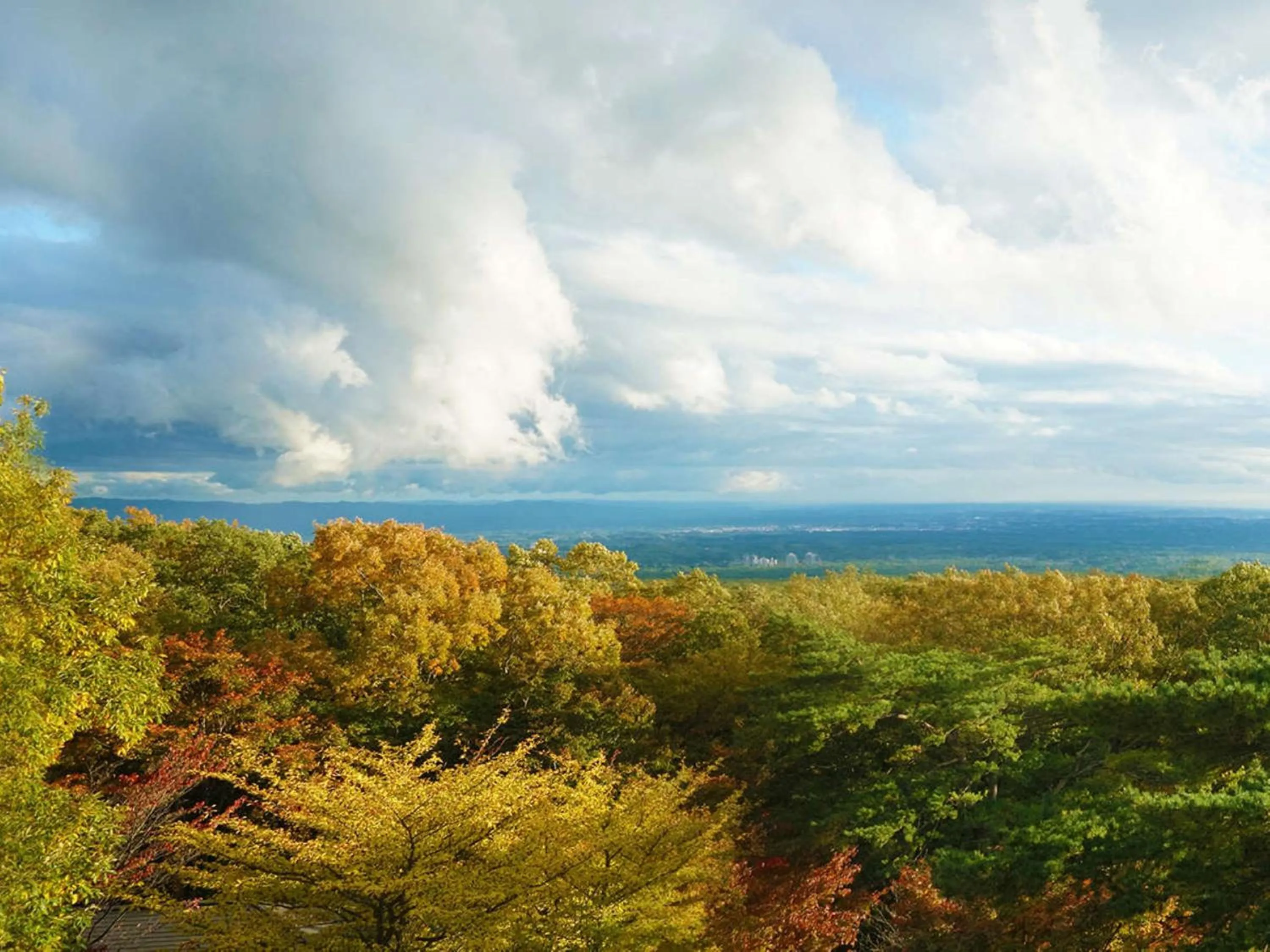 City view in Wakaki Ryokan - Nasu Yumoto Onsen