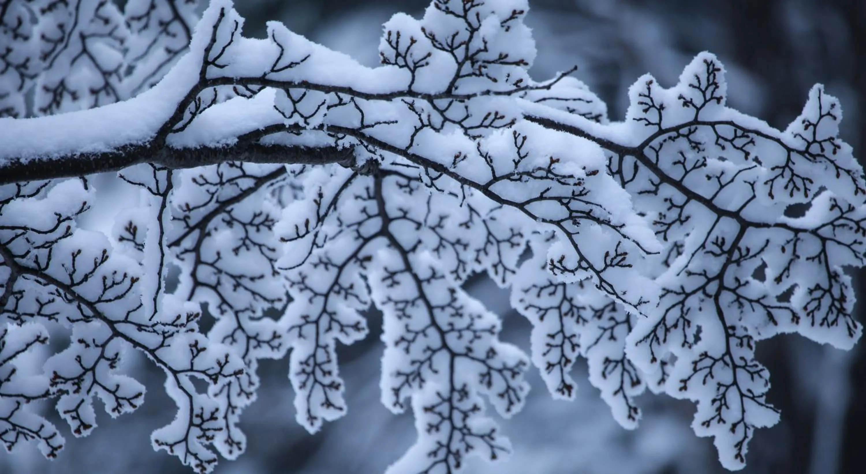 Off site in Río Serrano Hotel + Spa