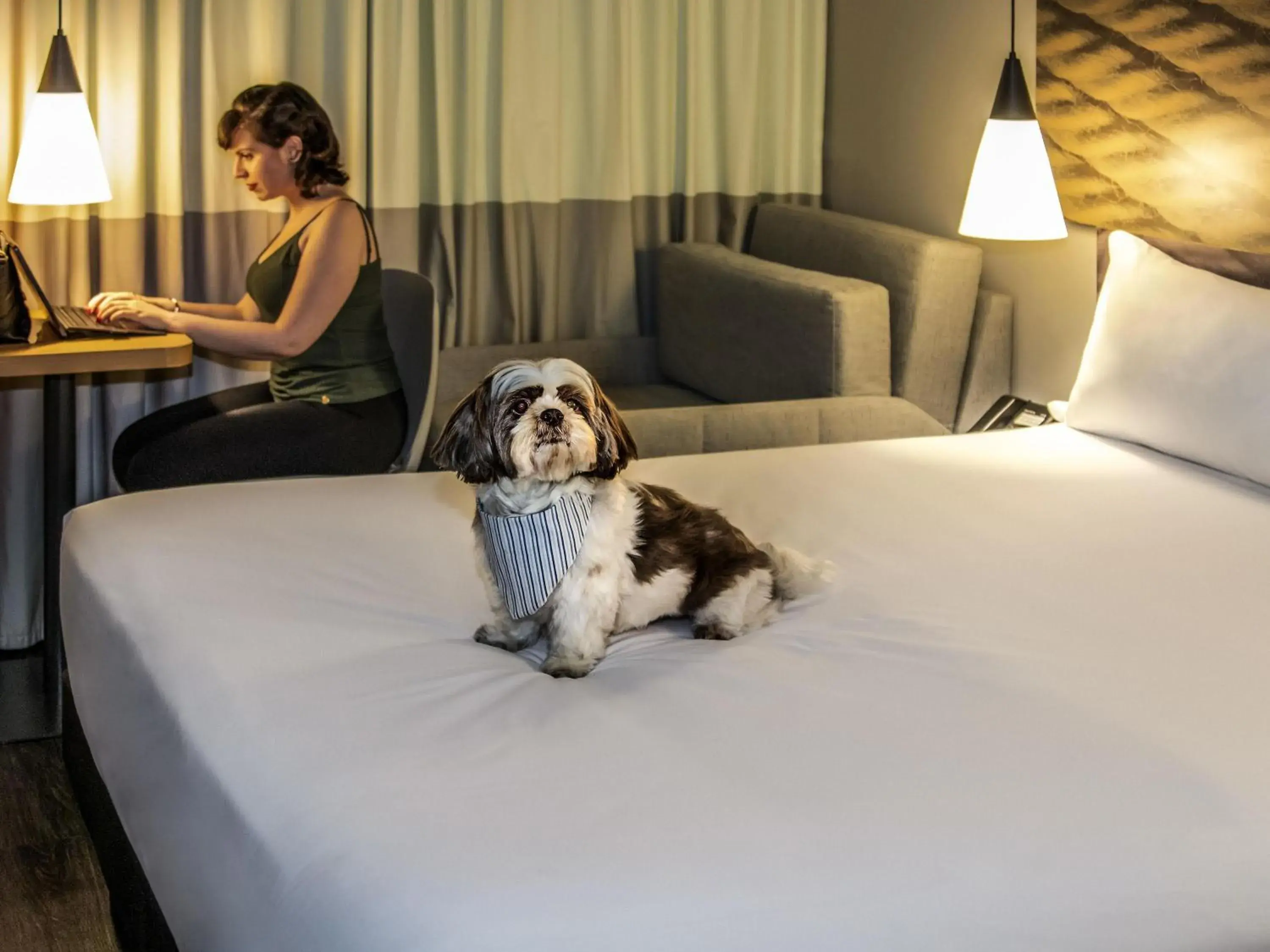 Bedroom, Bed in ibis Sao Paulo Tatuape Bedroom, Bed in ibis Sao Paulo Tatuape