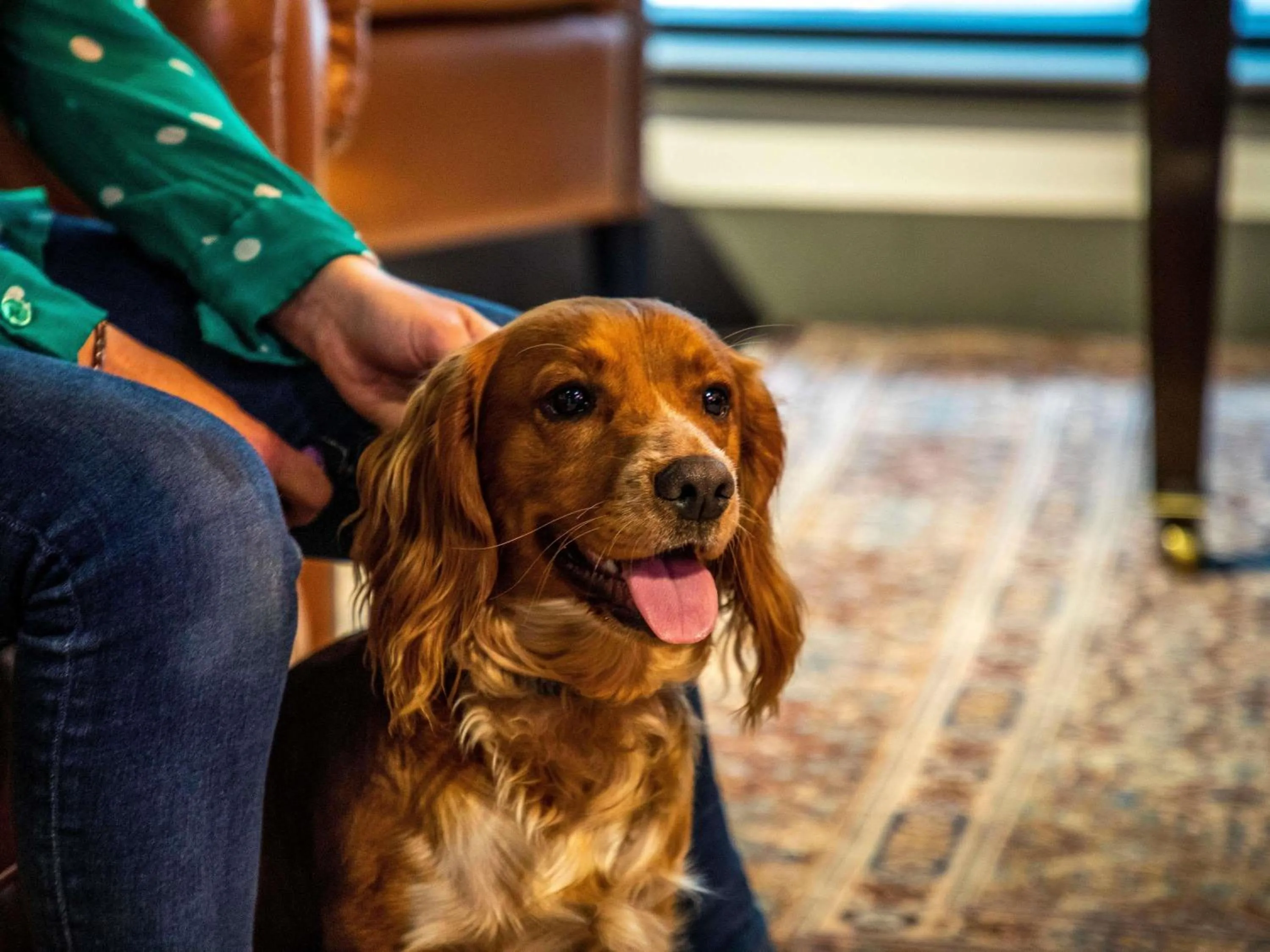 Other in ibis Styles Glasgow Central