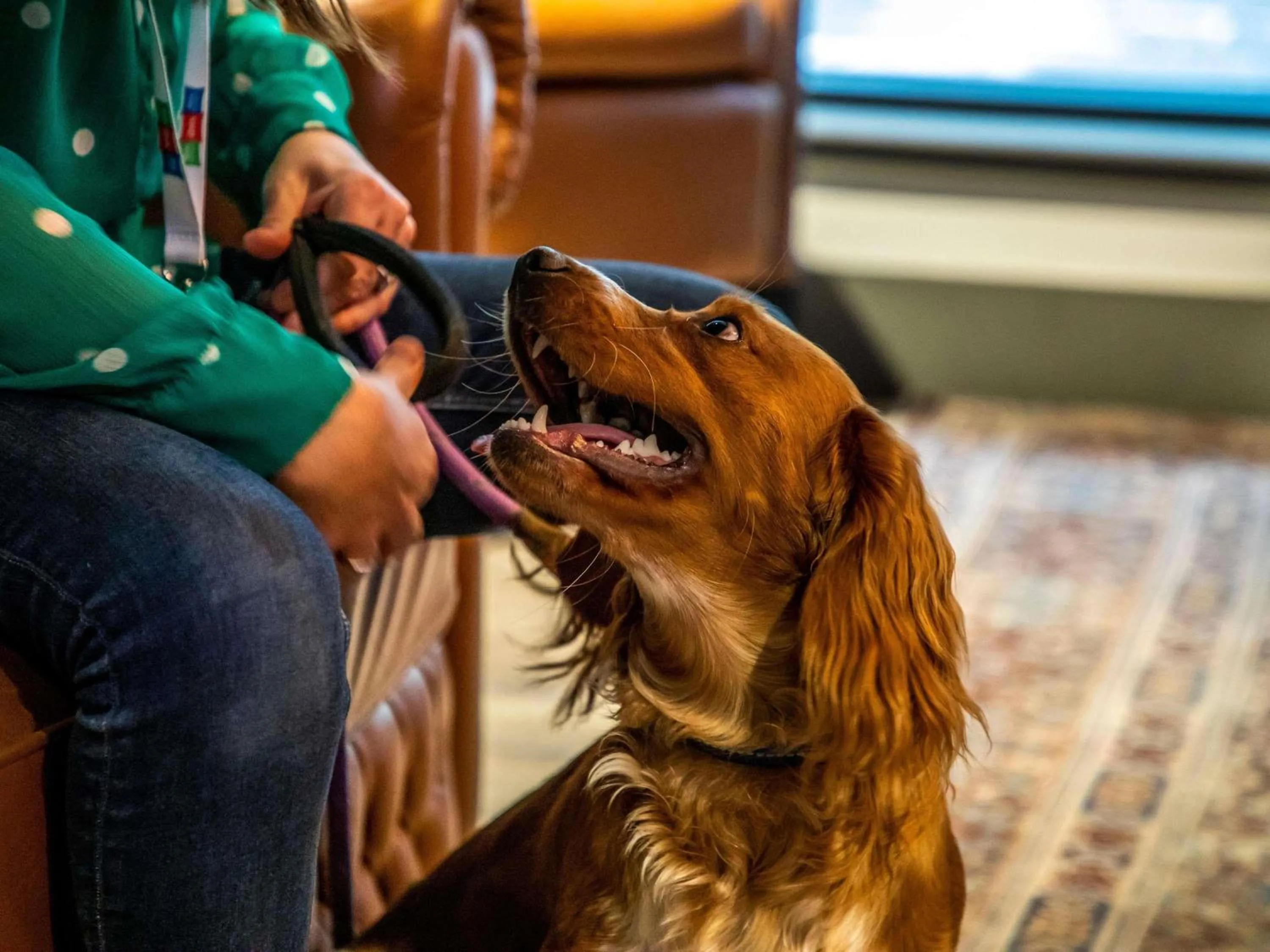 Other in ibis Styles Glasgow Central