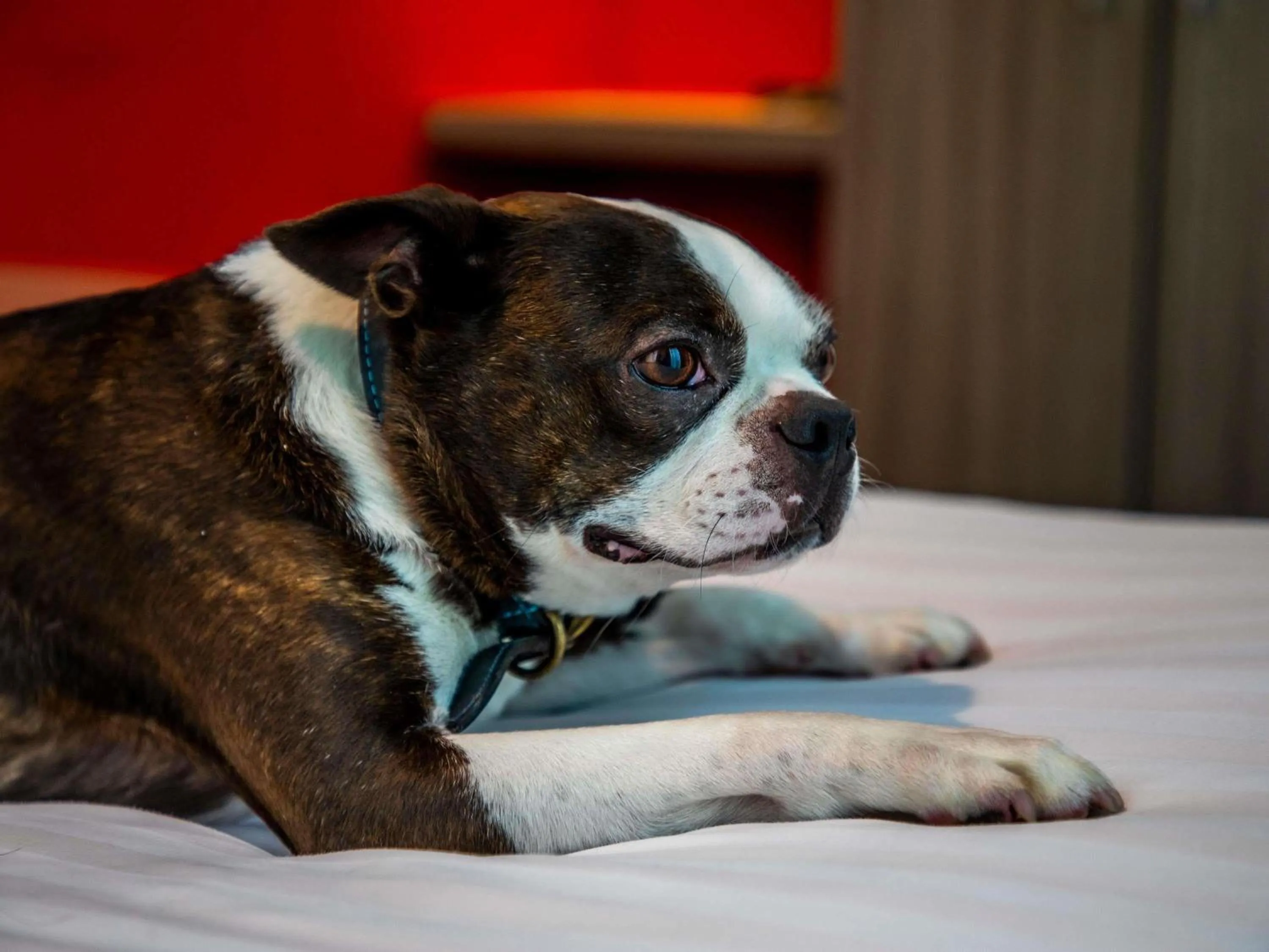 Other in ibis Styles Glasgow Central