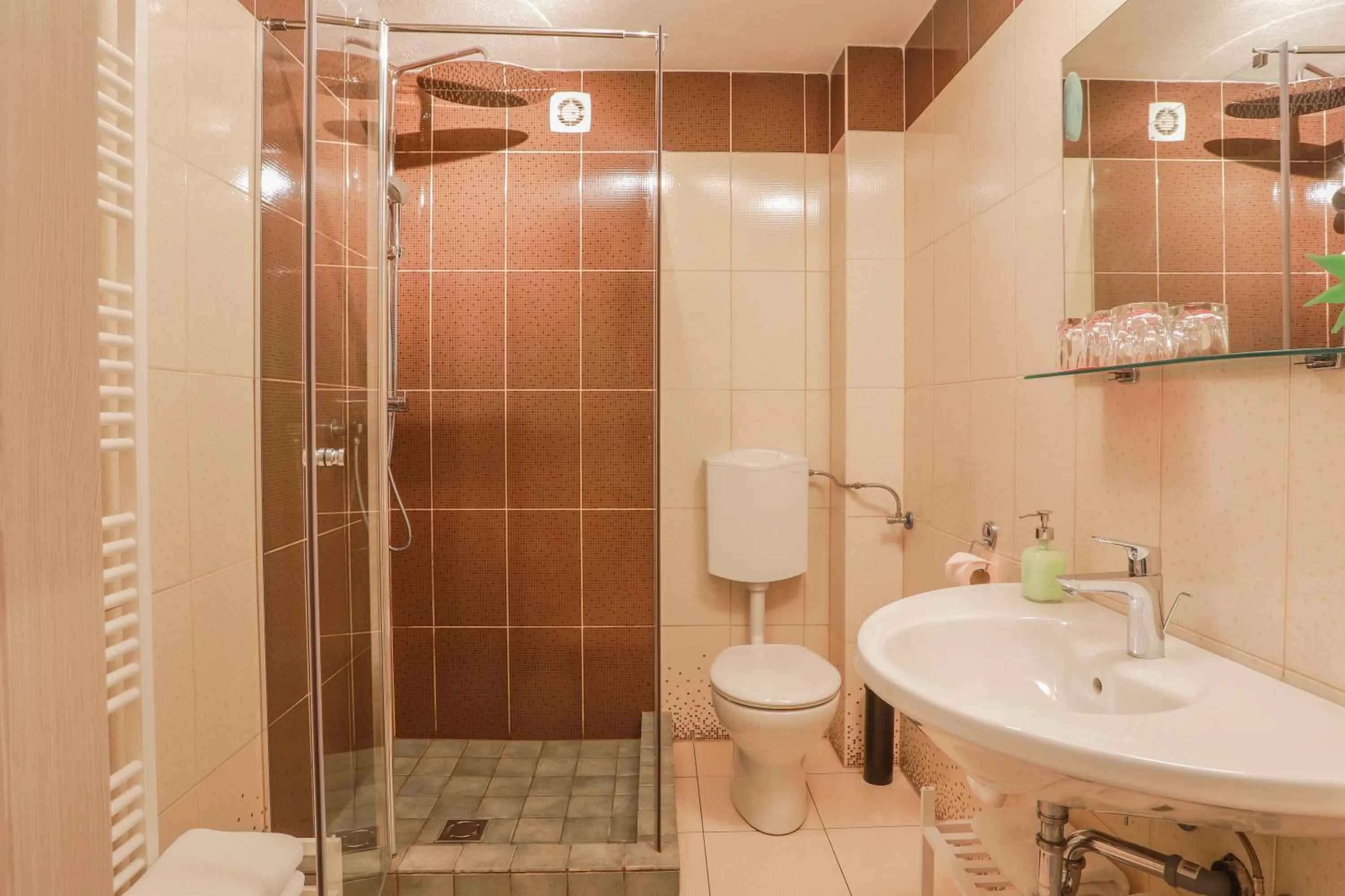 Shower in Penzion Pibernik