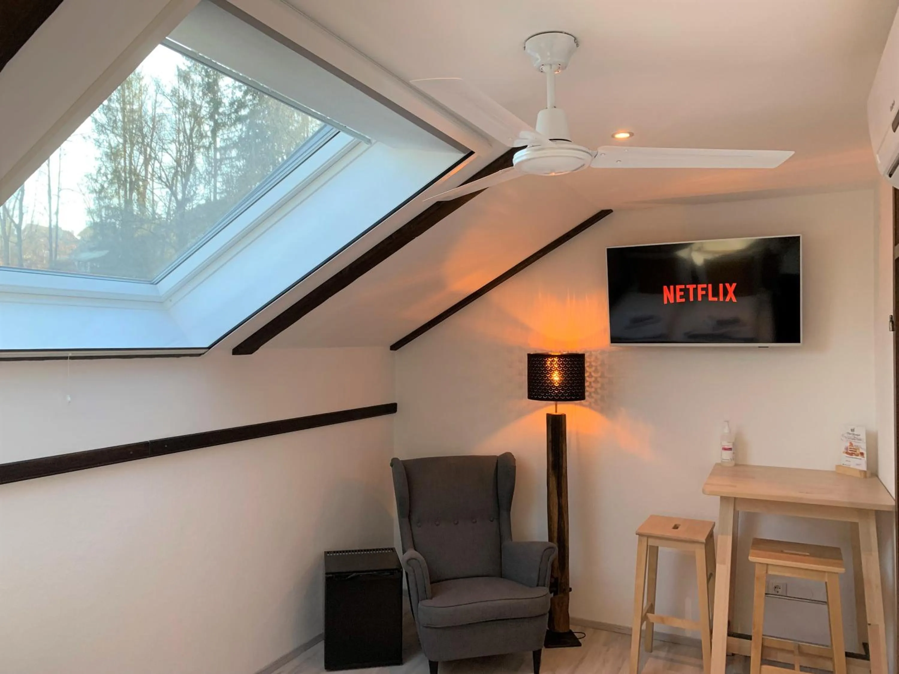 TV and multimedia in Penzion Pibernik