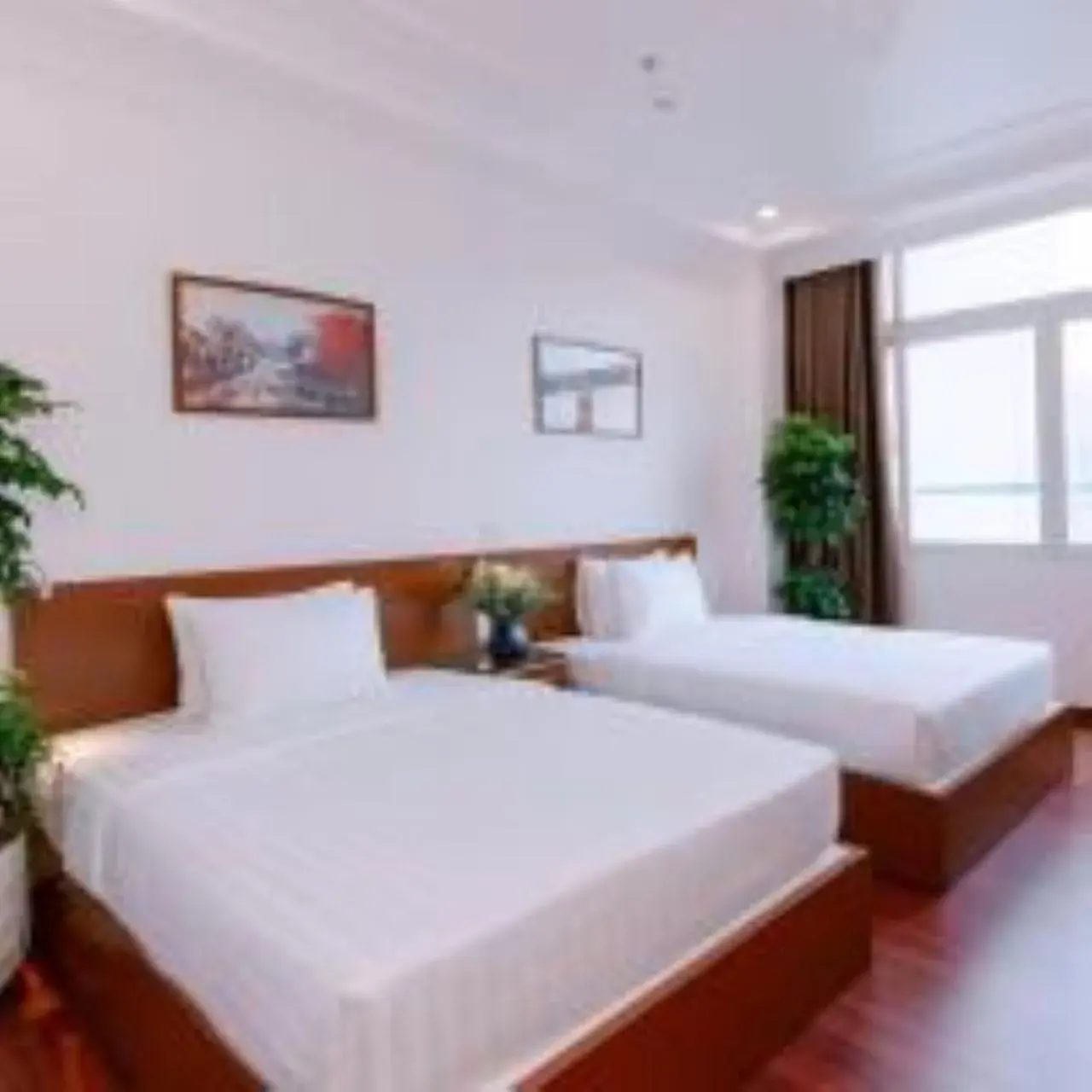 Double or Twin Room in DAHLIALAND SAIGON HOTEL & SWIMMING PooL Double or Twin Room in DAHLIALAND SAIGON HOTEL & SWIMMING PooL