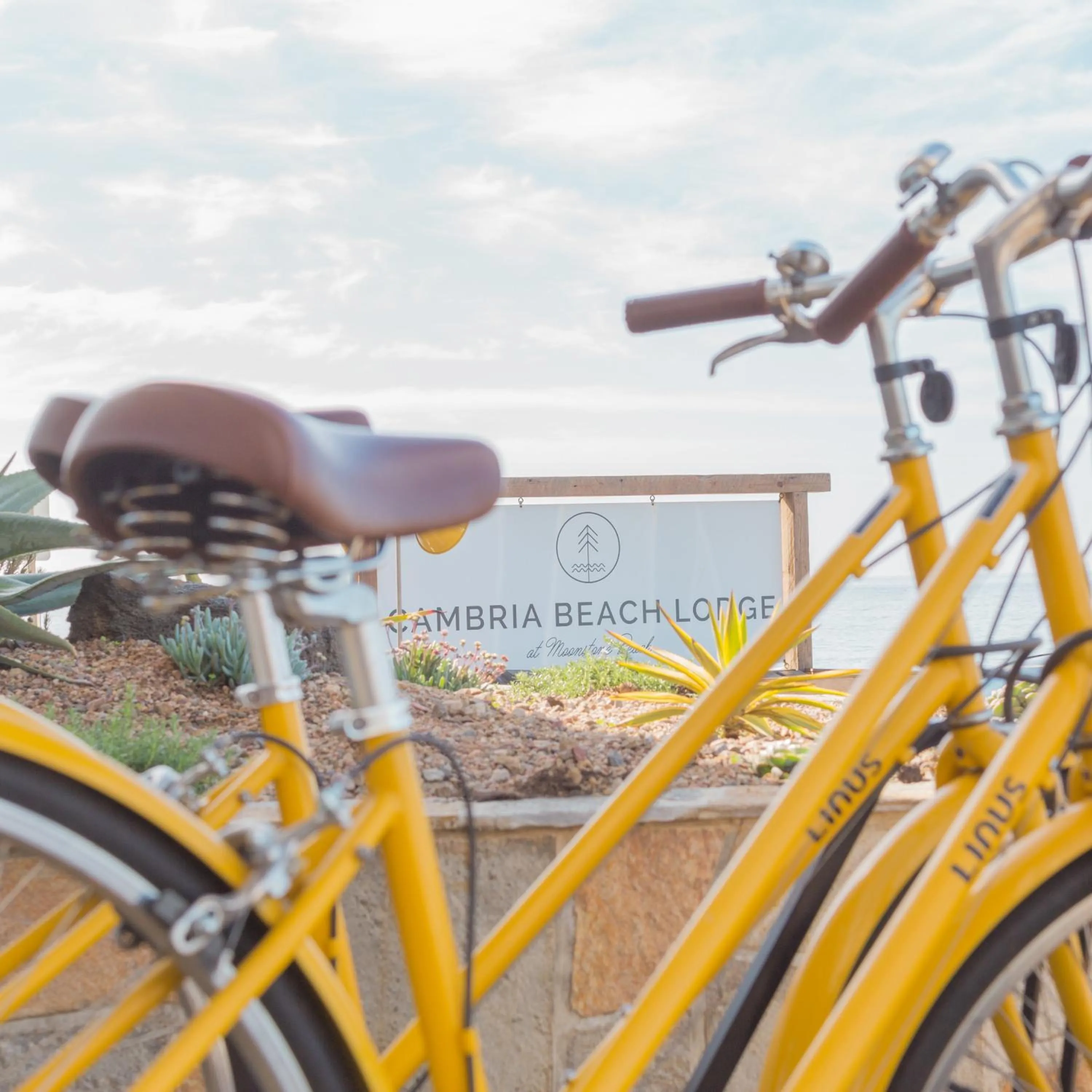 Decorative detail in Cambria Beach Lodge