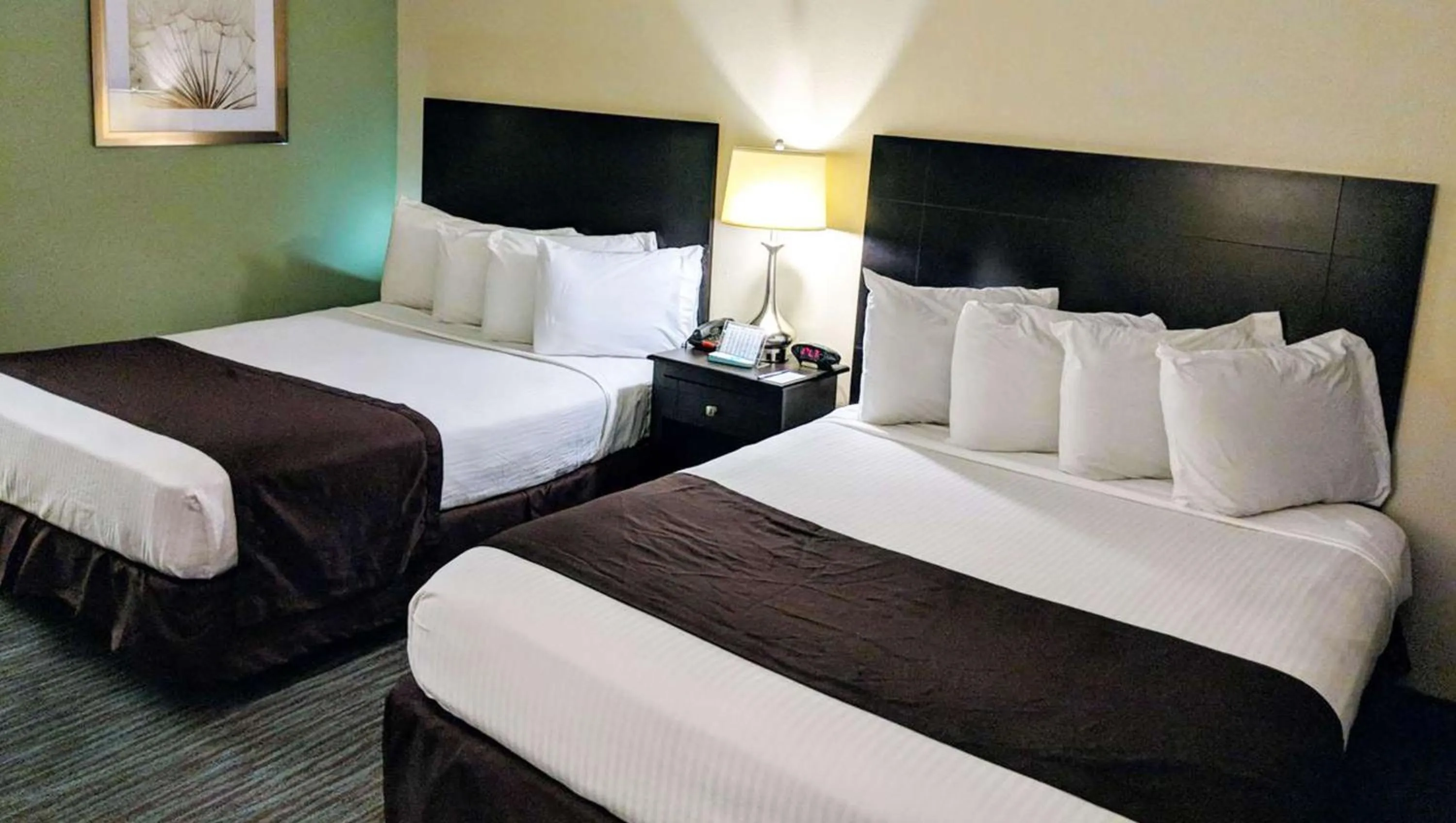 Photo of the whole room in Hotel Francis