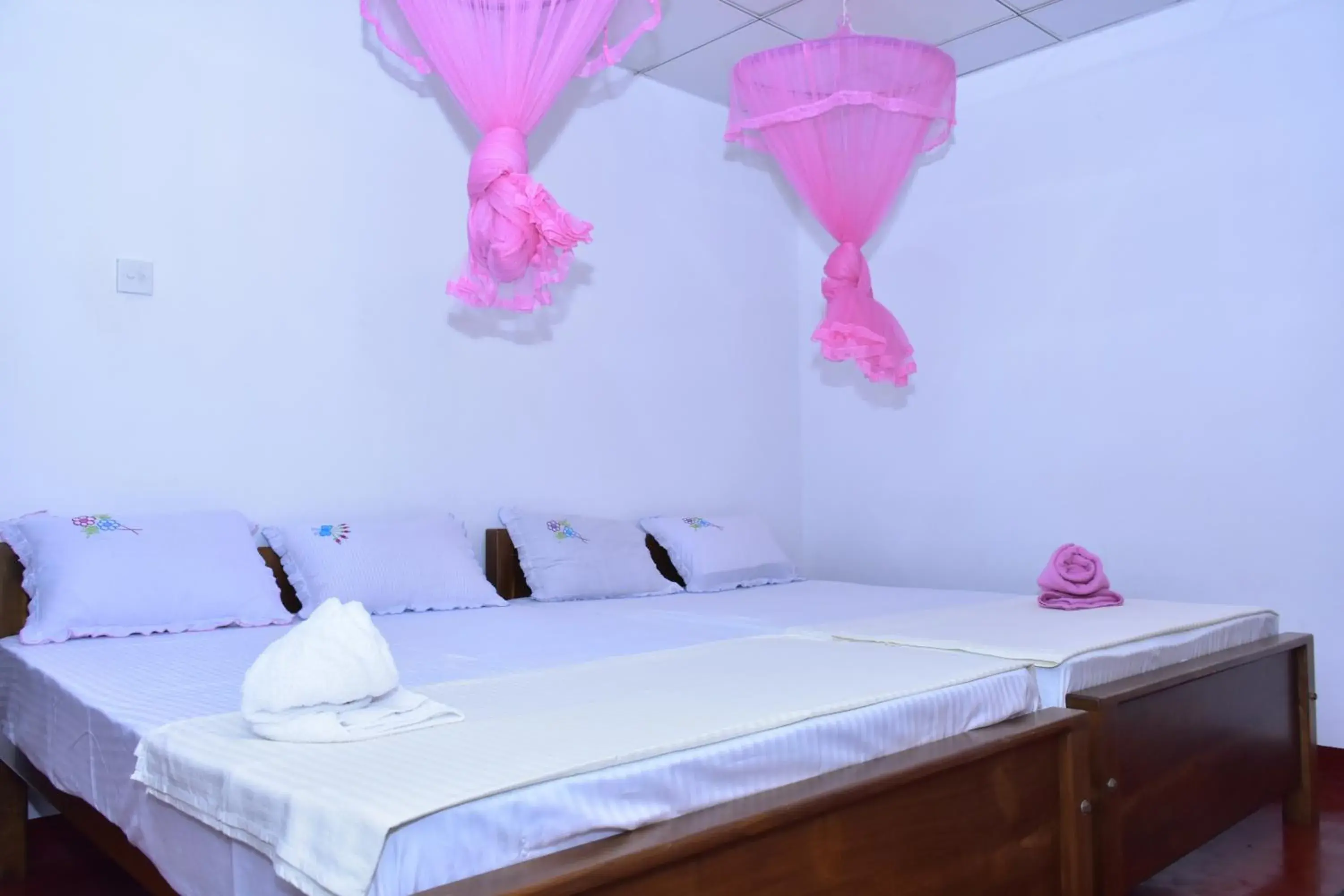 Double Room in Canal Side Safari Resort Double Room in Canal Side Safari Resort