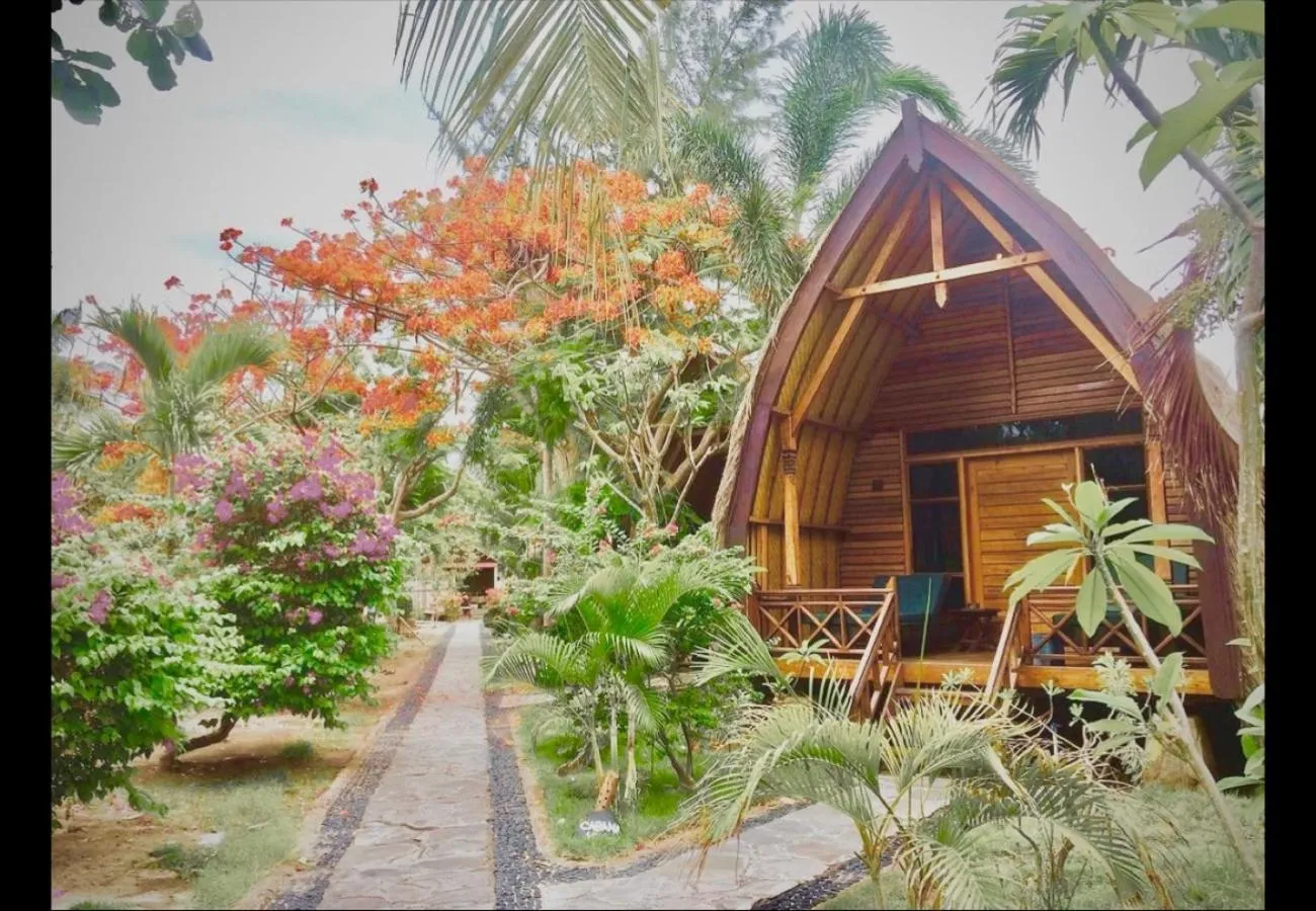 Garden view in Laguna Gili