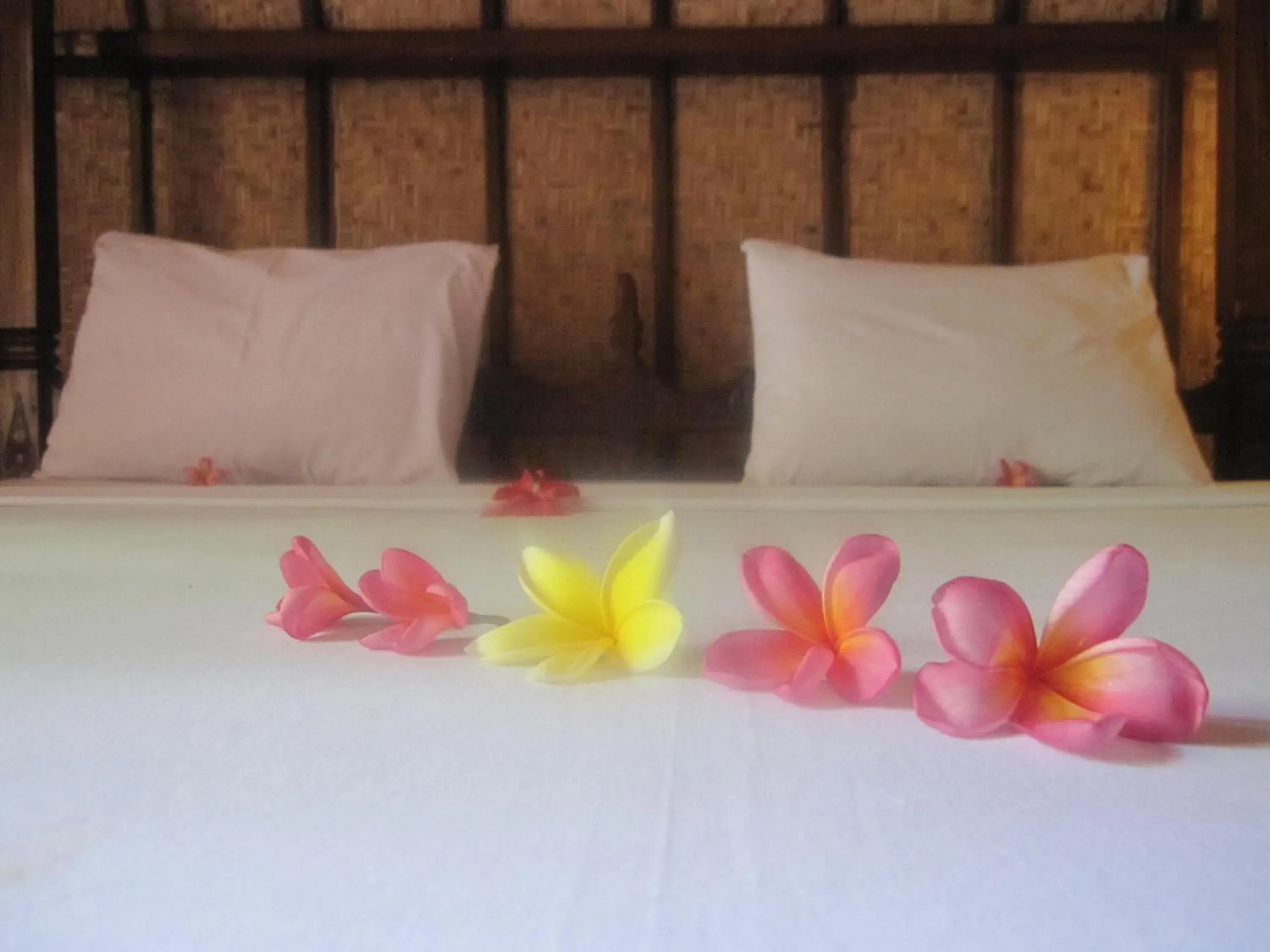 Bed in Laguna Gili Bed in Laguna Gili