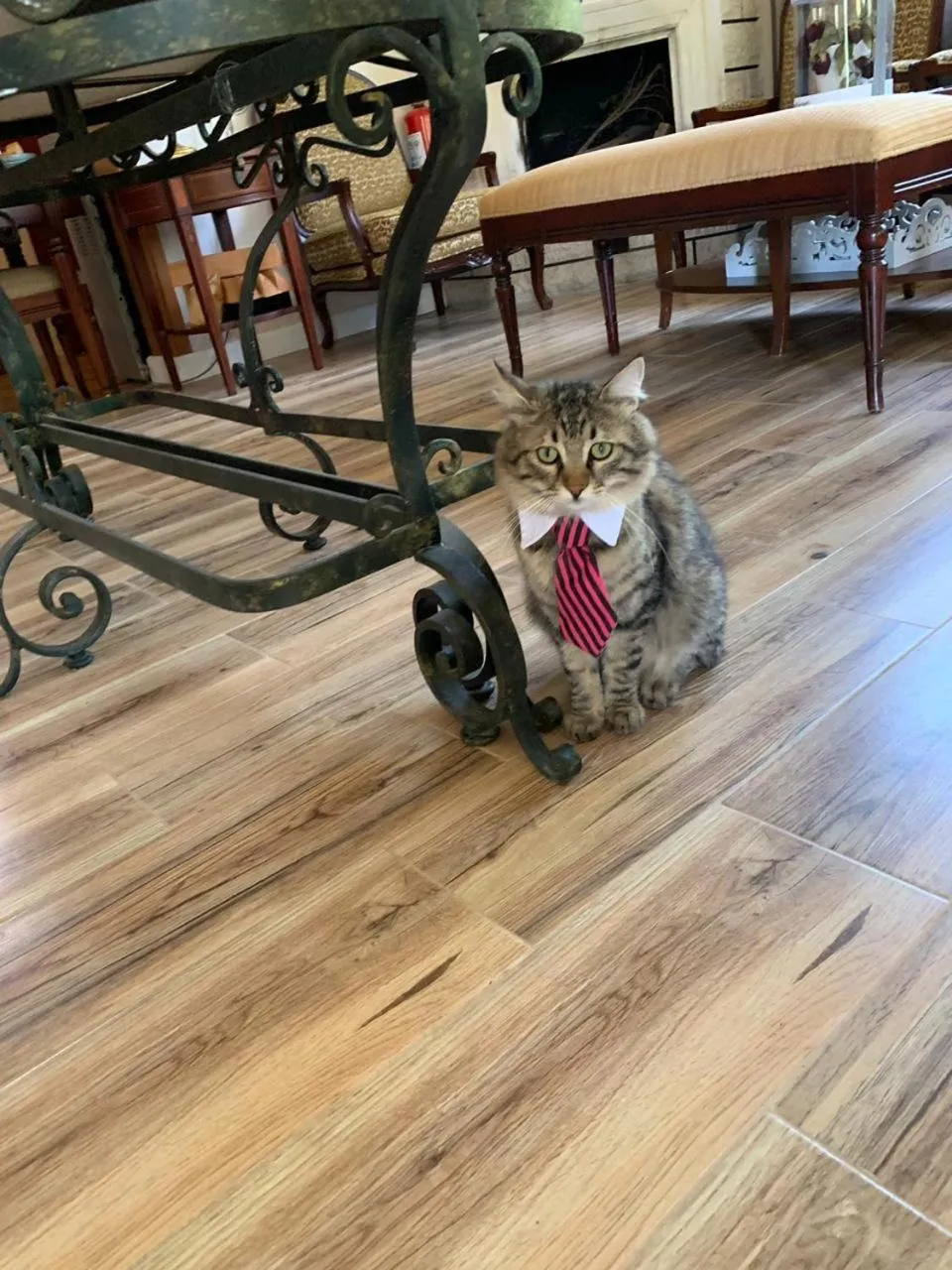 Adrasan La Casita Hotel