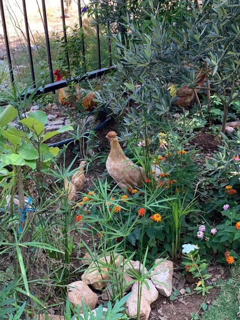 Adrasan La Casita Hotel