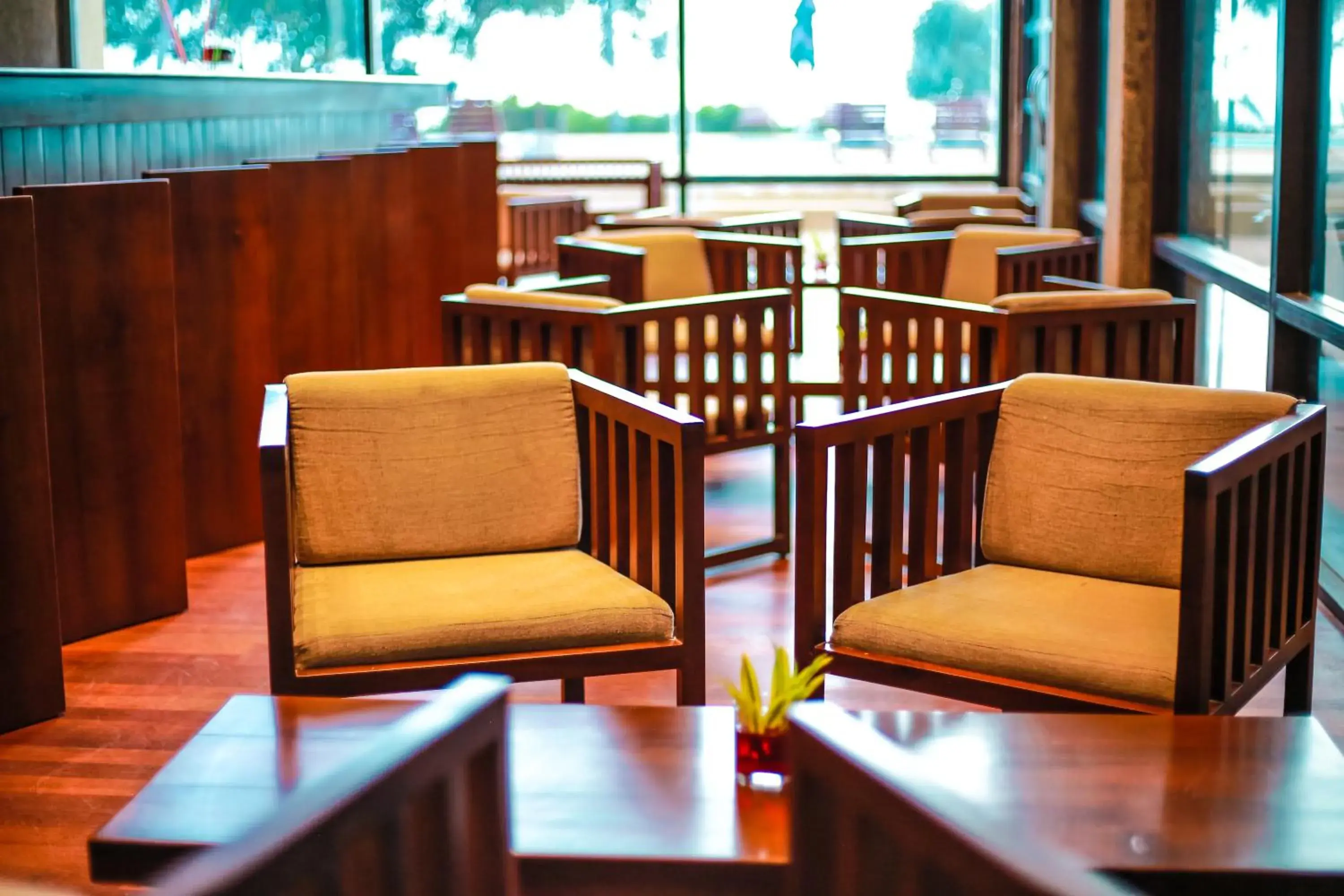 Lounge or bar in Grand Beach Lounge or bar in Grand Beach