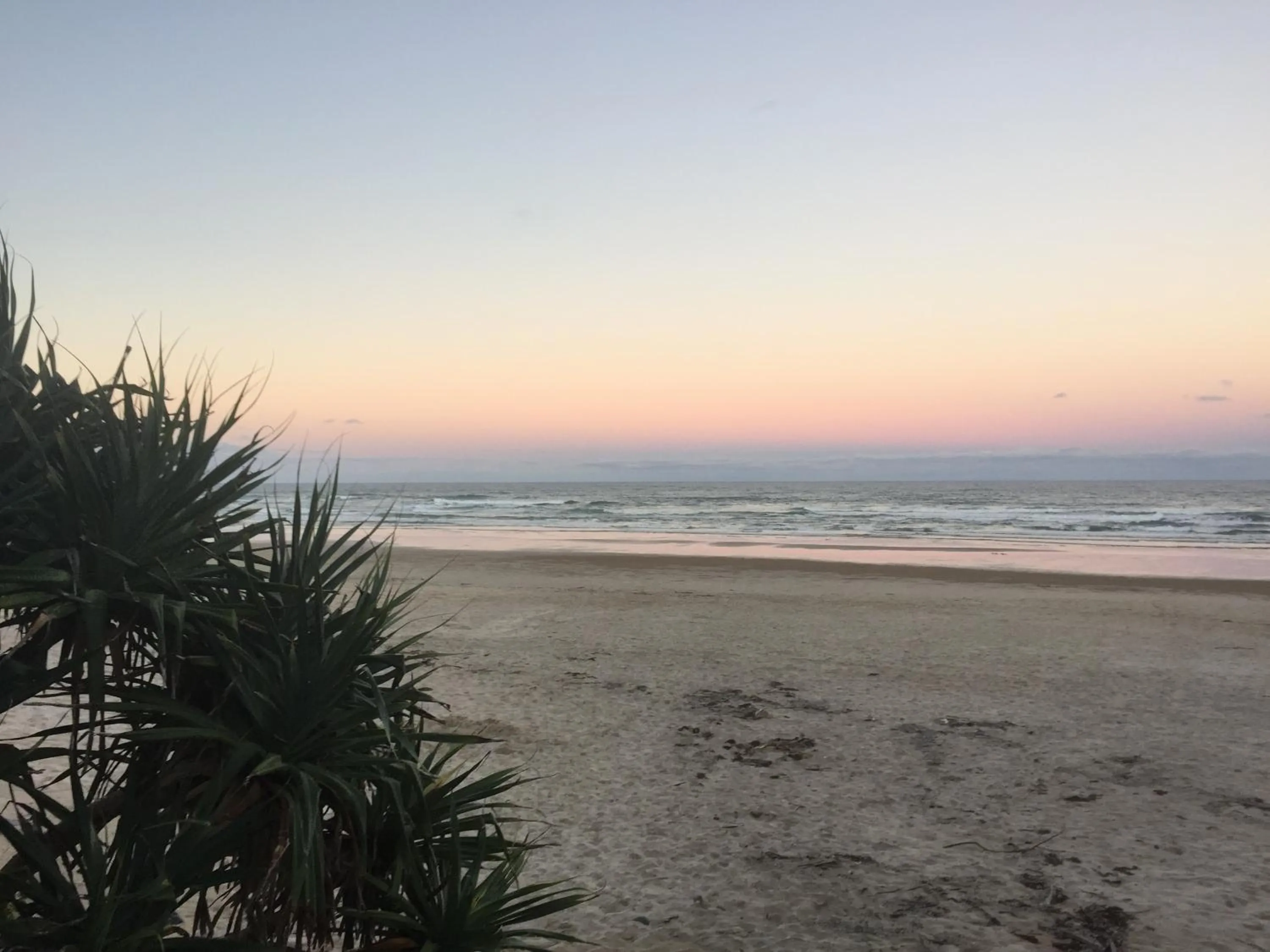 Beach in Endless Summer Resort