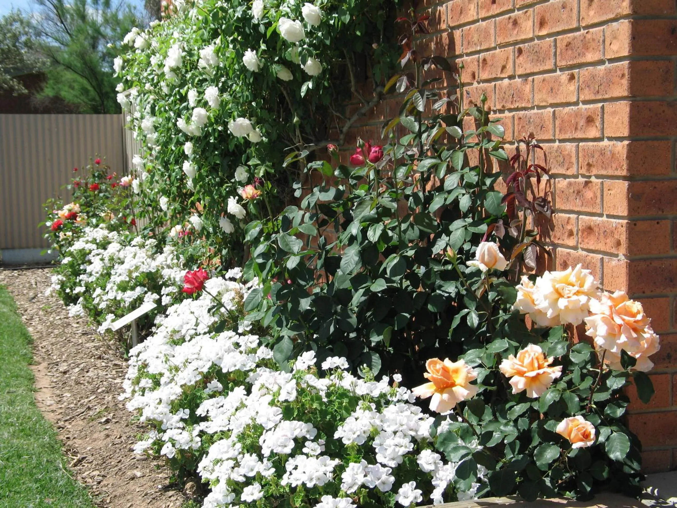 Spring in Wine Village Motor Inn