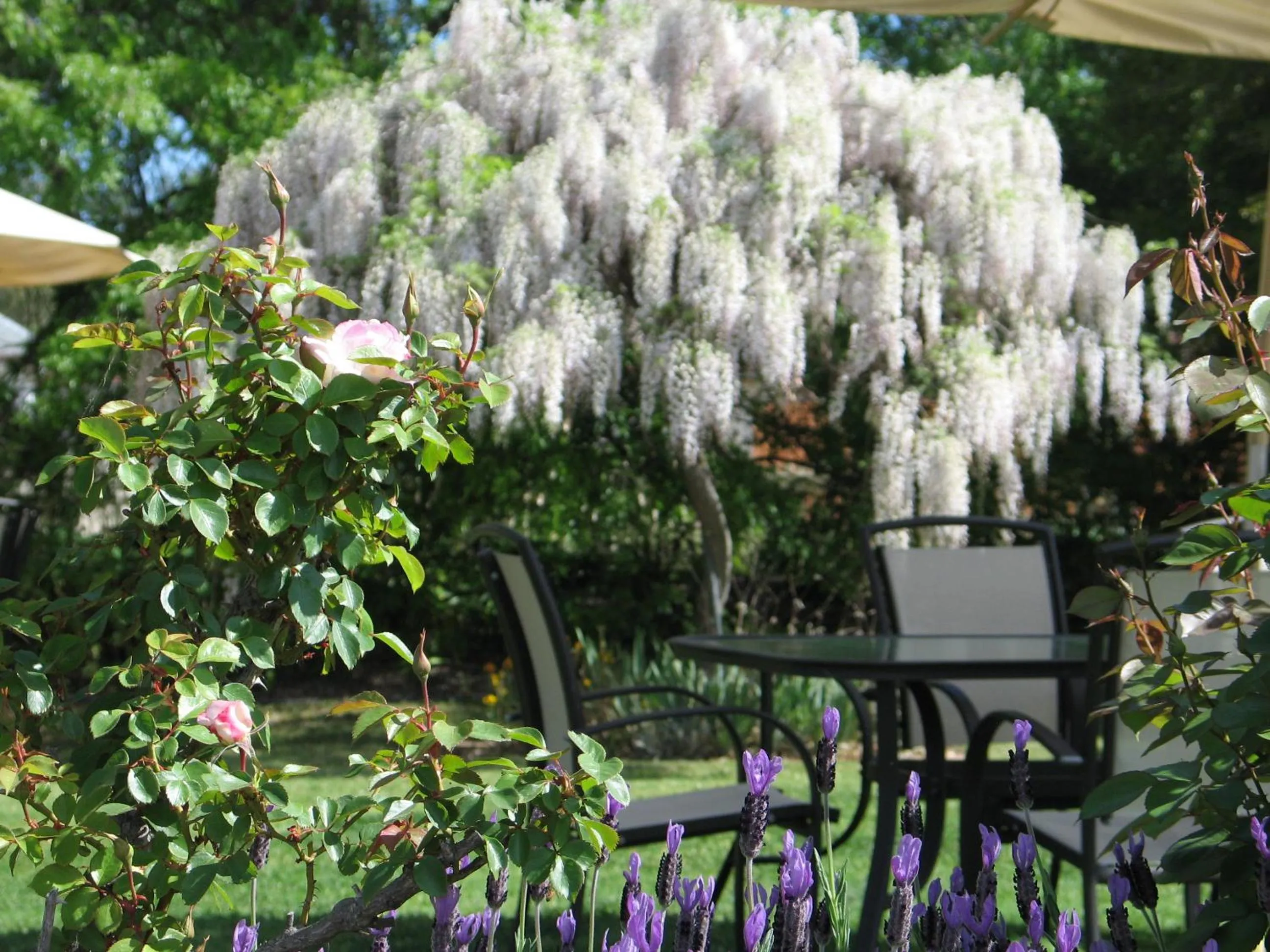 Patio in Wine Village Motor Inn