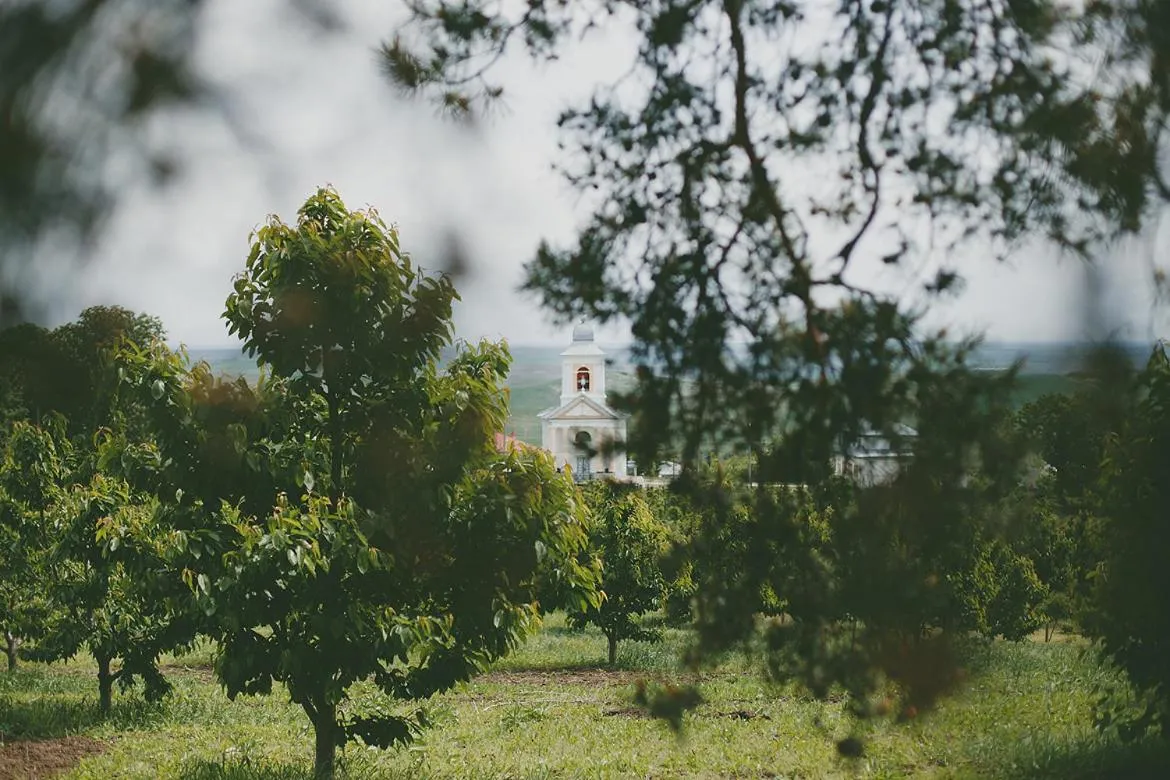 Property building in Conac Polizu