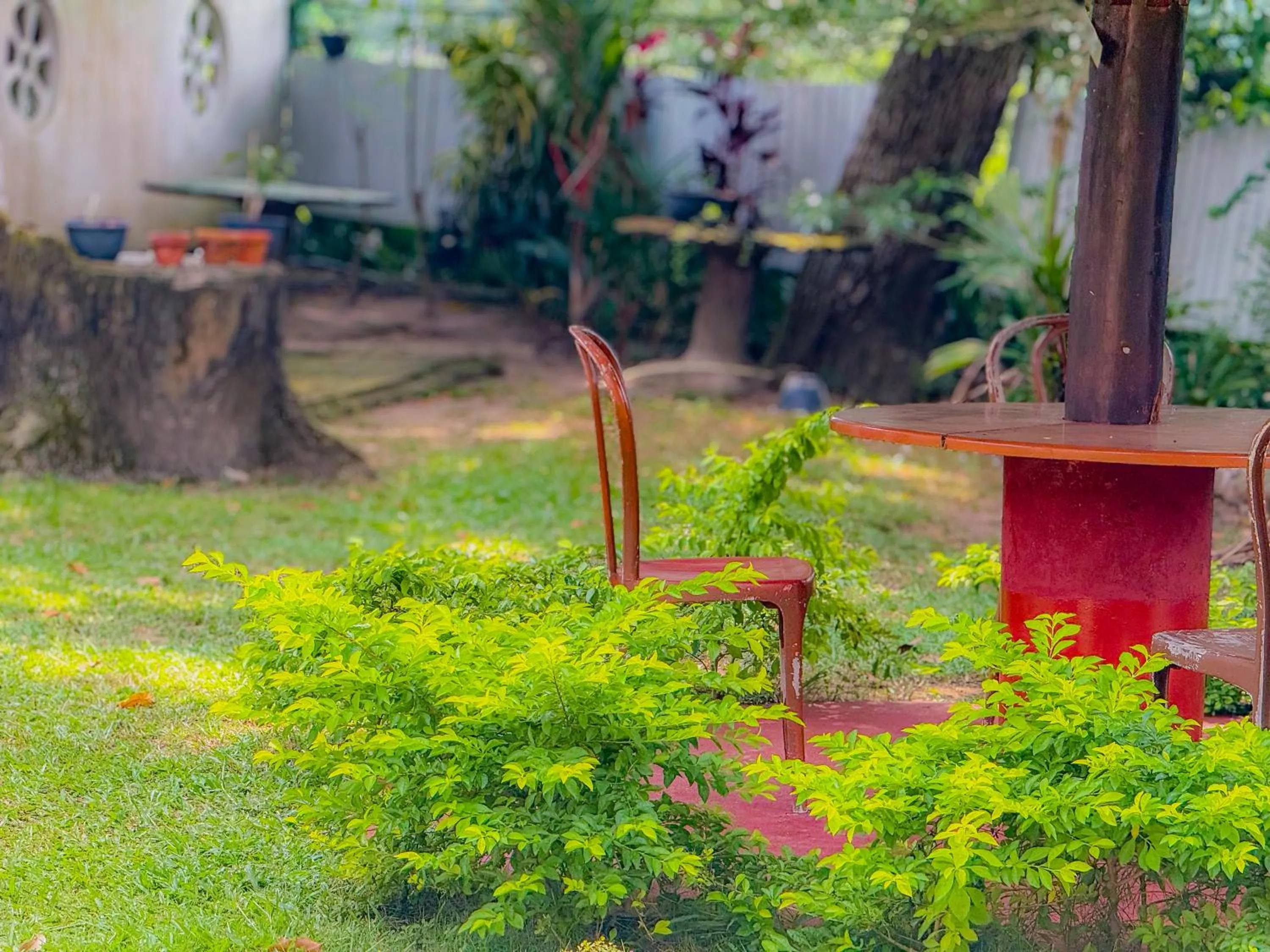 Natural landscape in Airport Green View Hotel Katunayake