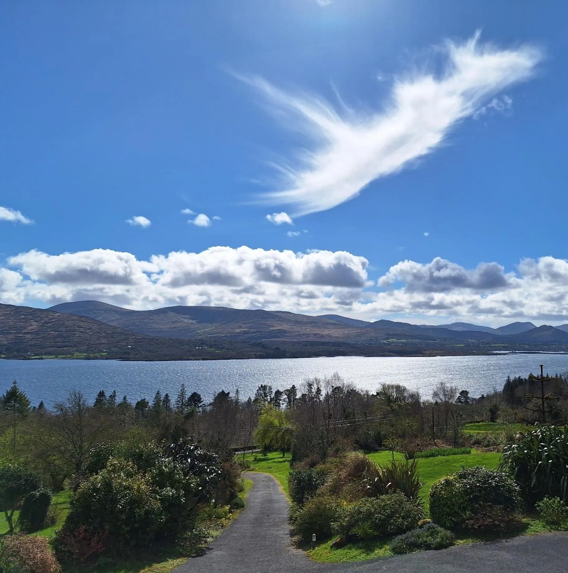 View (from property/room) in Valhalla BnB