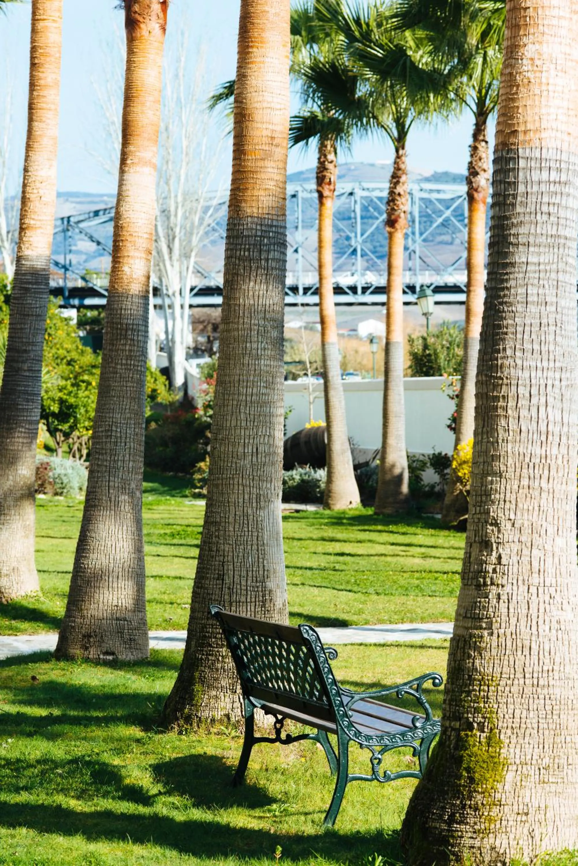 Garden in The Vintage House - Douro