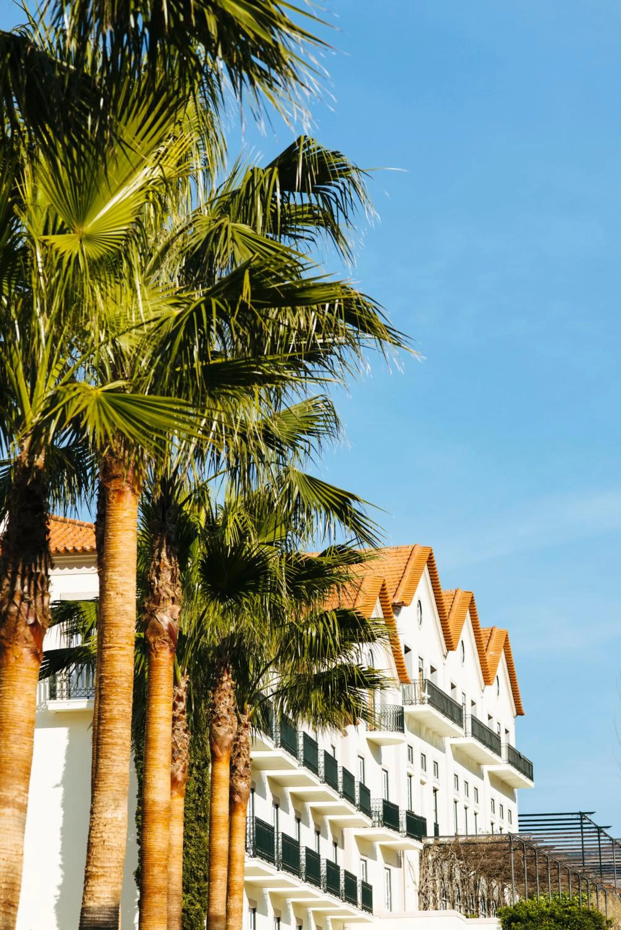 Facade/entrance in The Vintage House - Douro