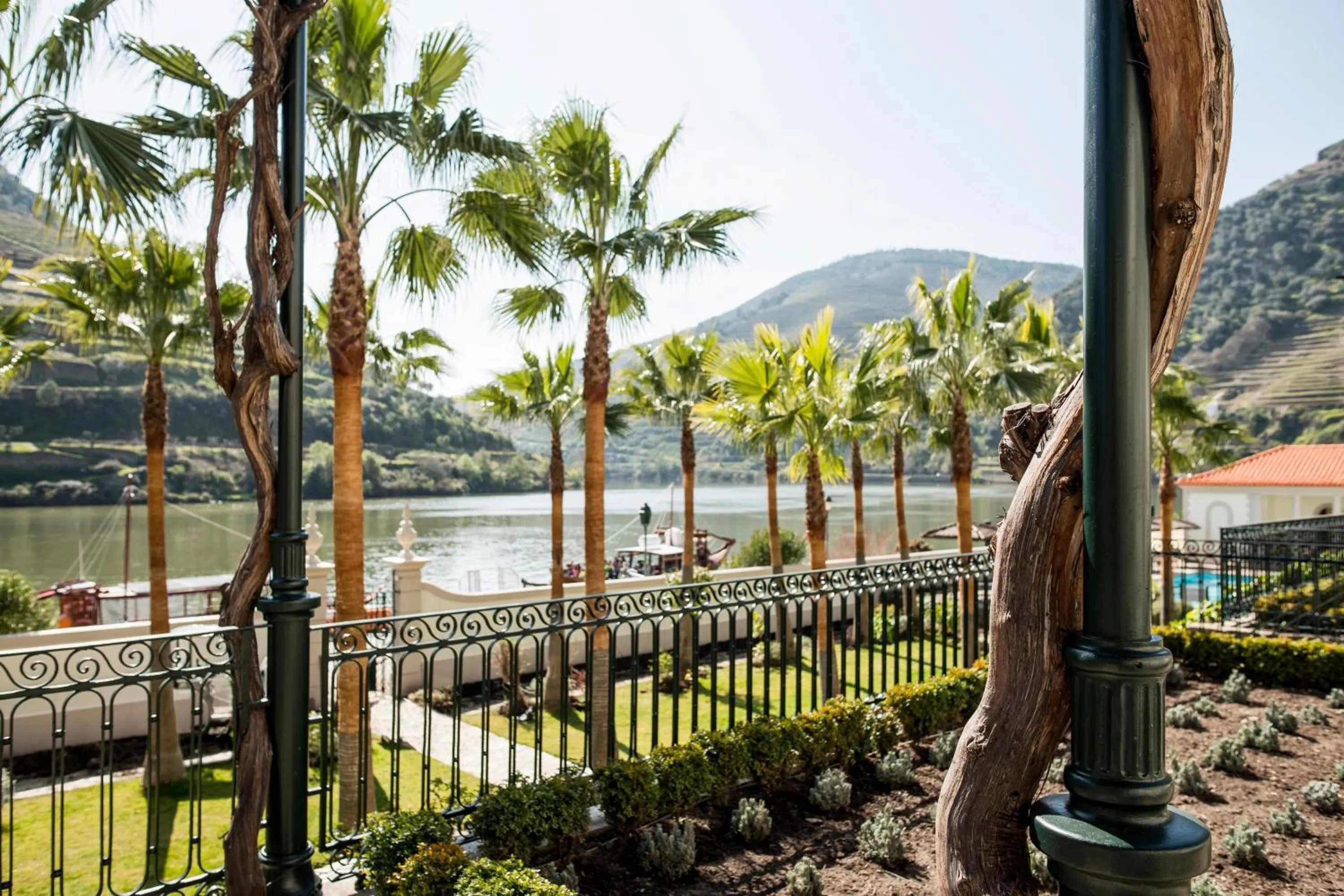 Garden view in The Vintage House - Douro