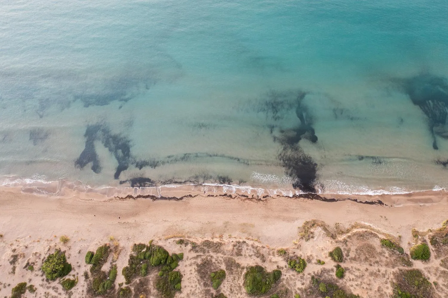 Beach in Kalamaki Beach Hotel, Zakynthos Island
