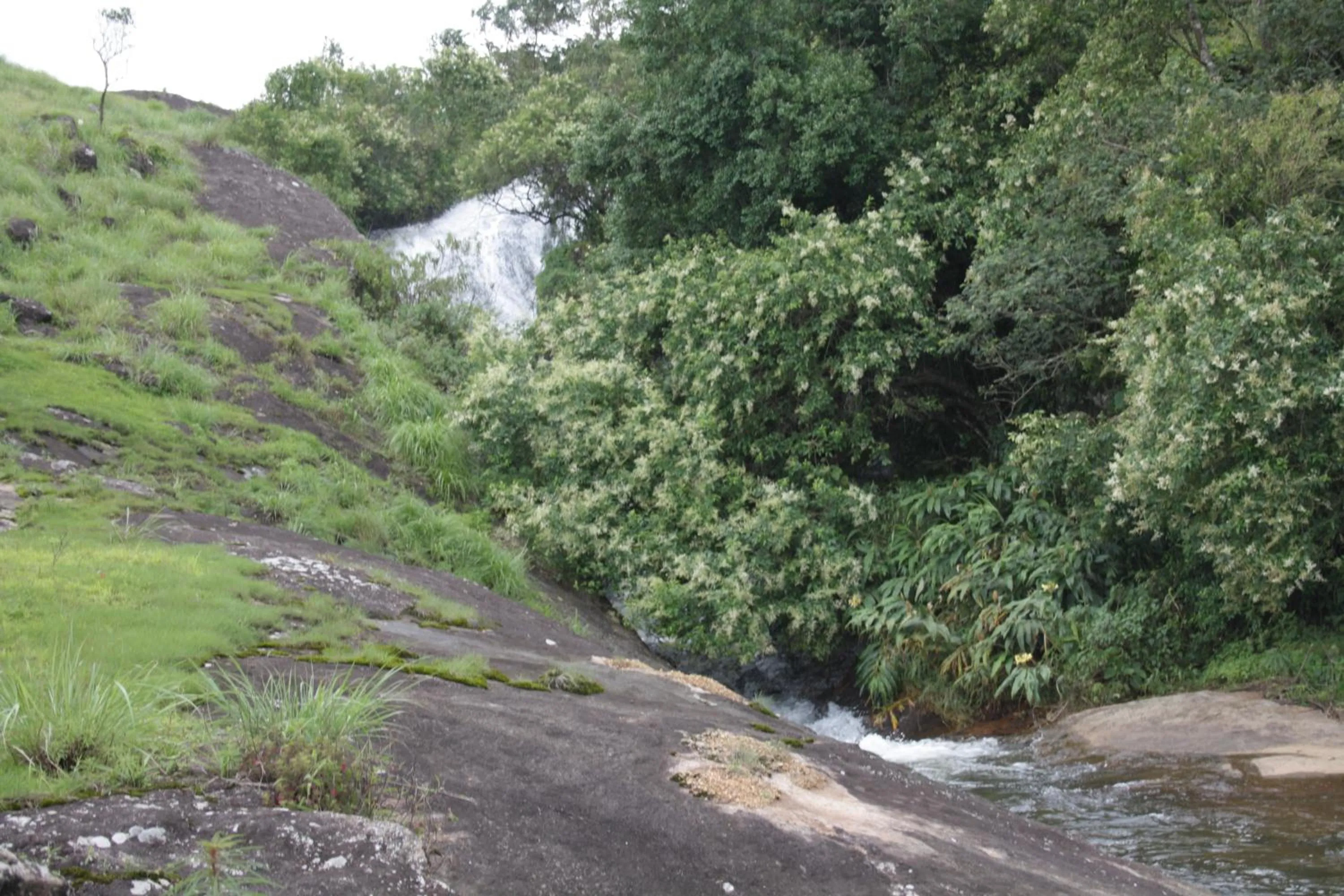 Area and facilities in Ayur County Resort