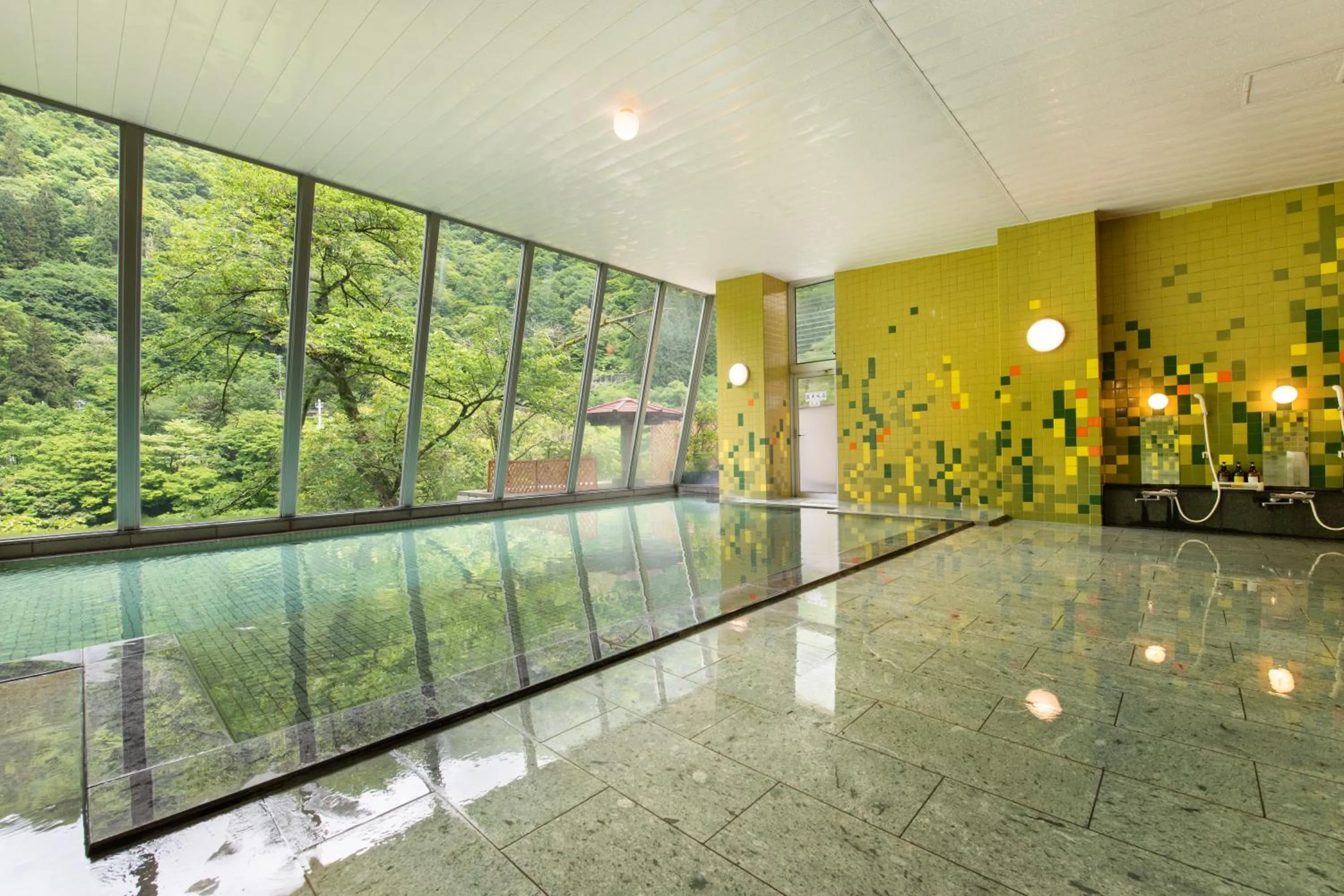 Hot Spring Bath in Hotel Kurobe