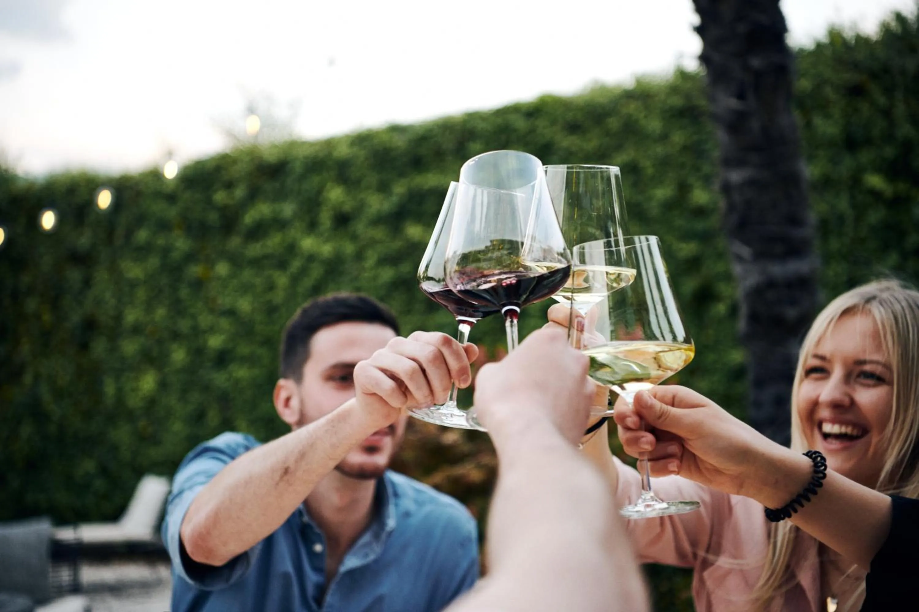 Lounge or bar in Hotel Traminerhof