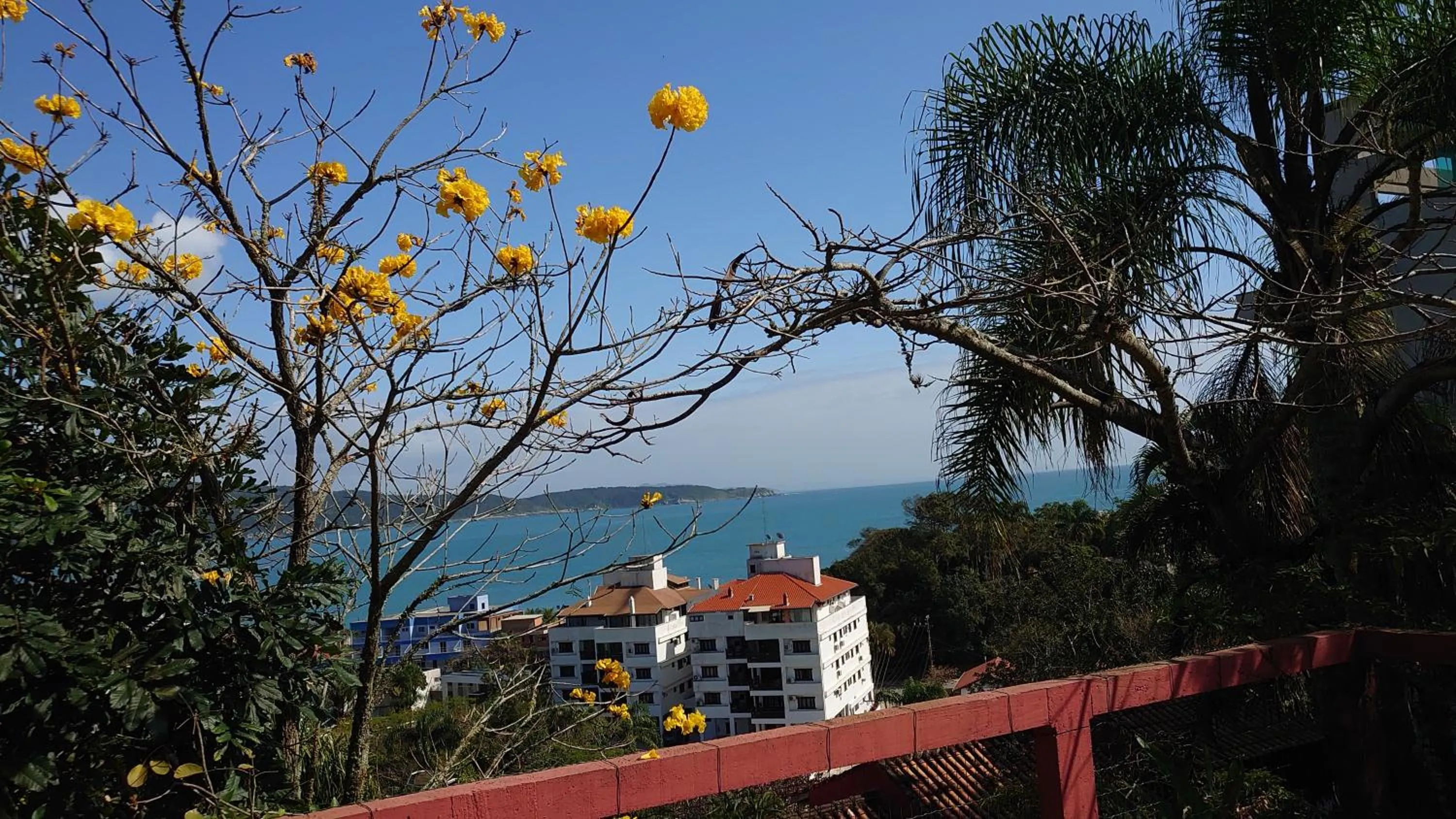 Apartamento Centro Bombinhas
