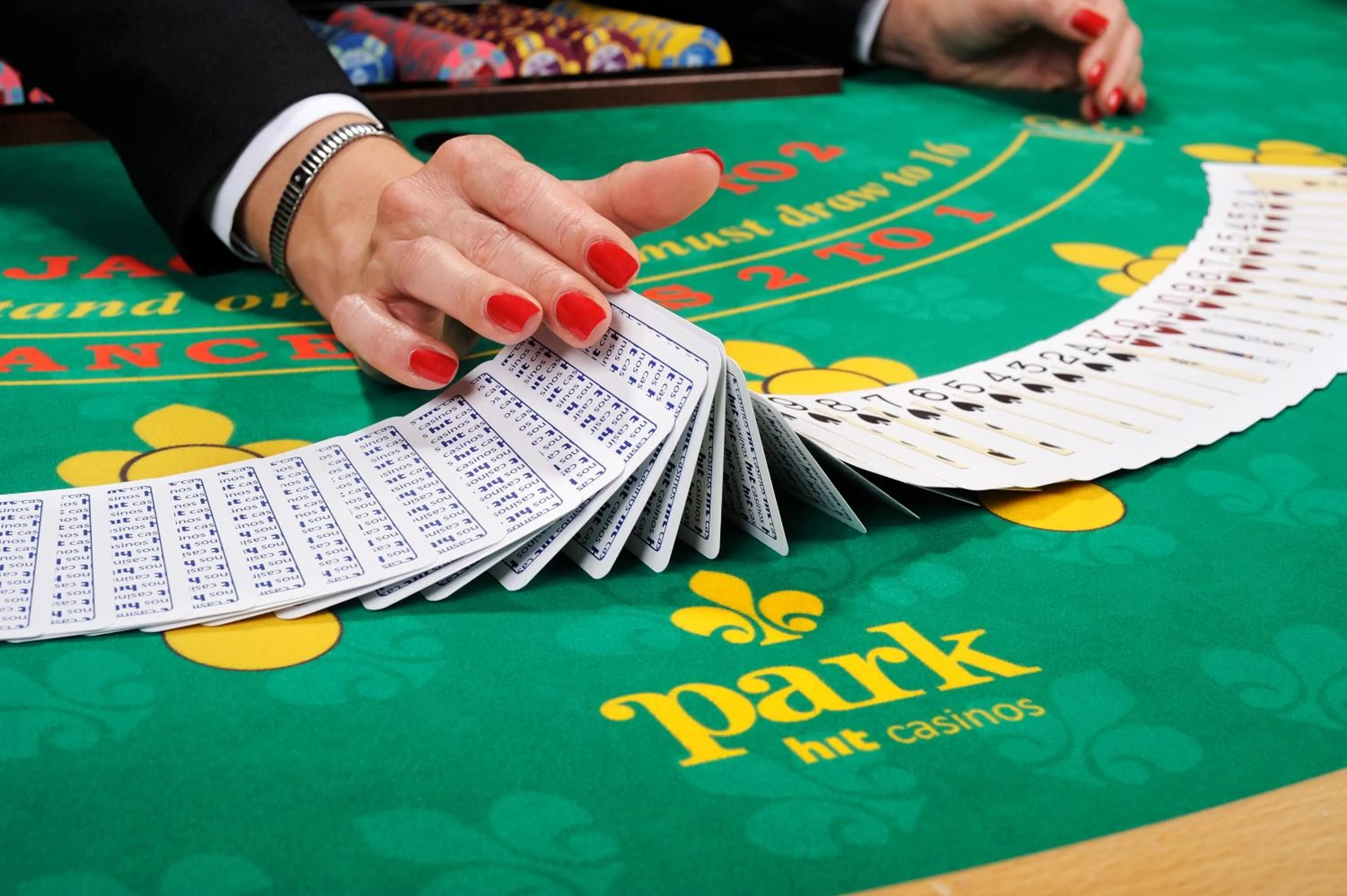 Casino in Park, Hotel & Entertainment