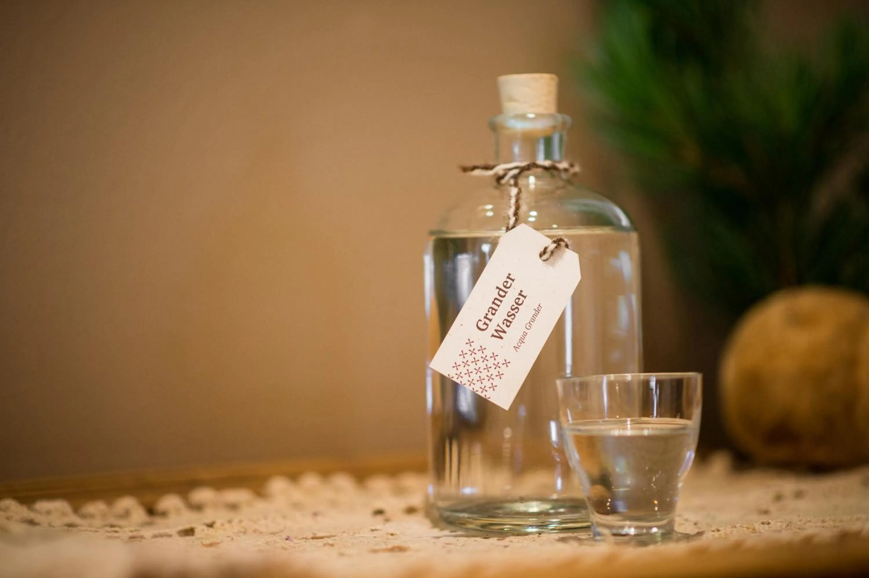 Non alcoholic drinks in Tonzhaus Hotel