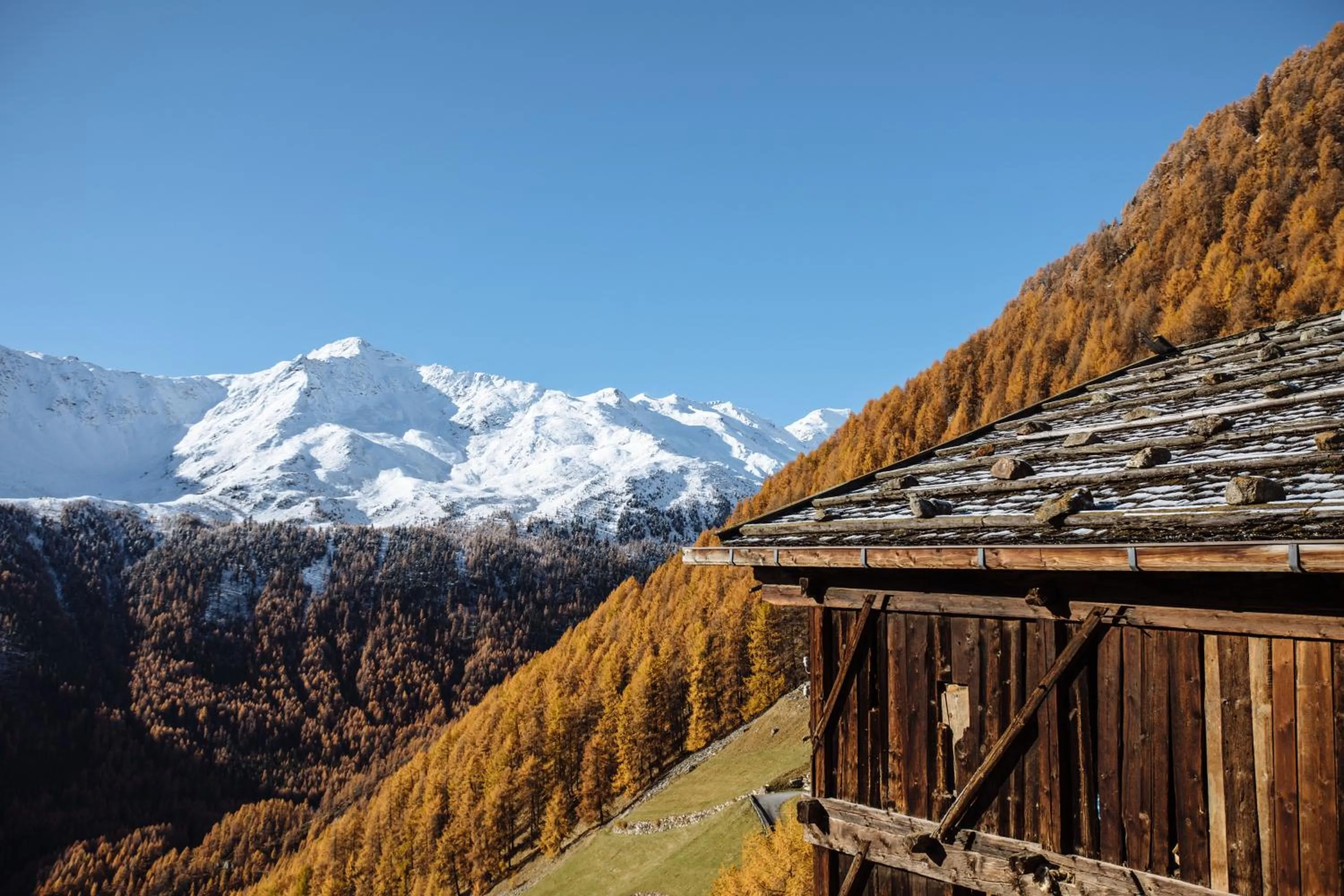 Autumn in Tonzhaus Hotel