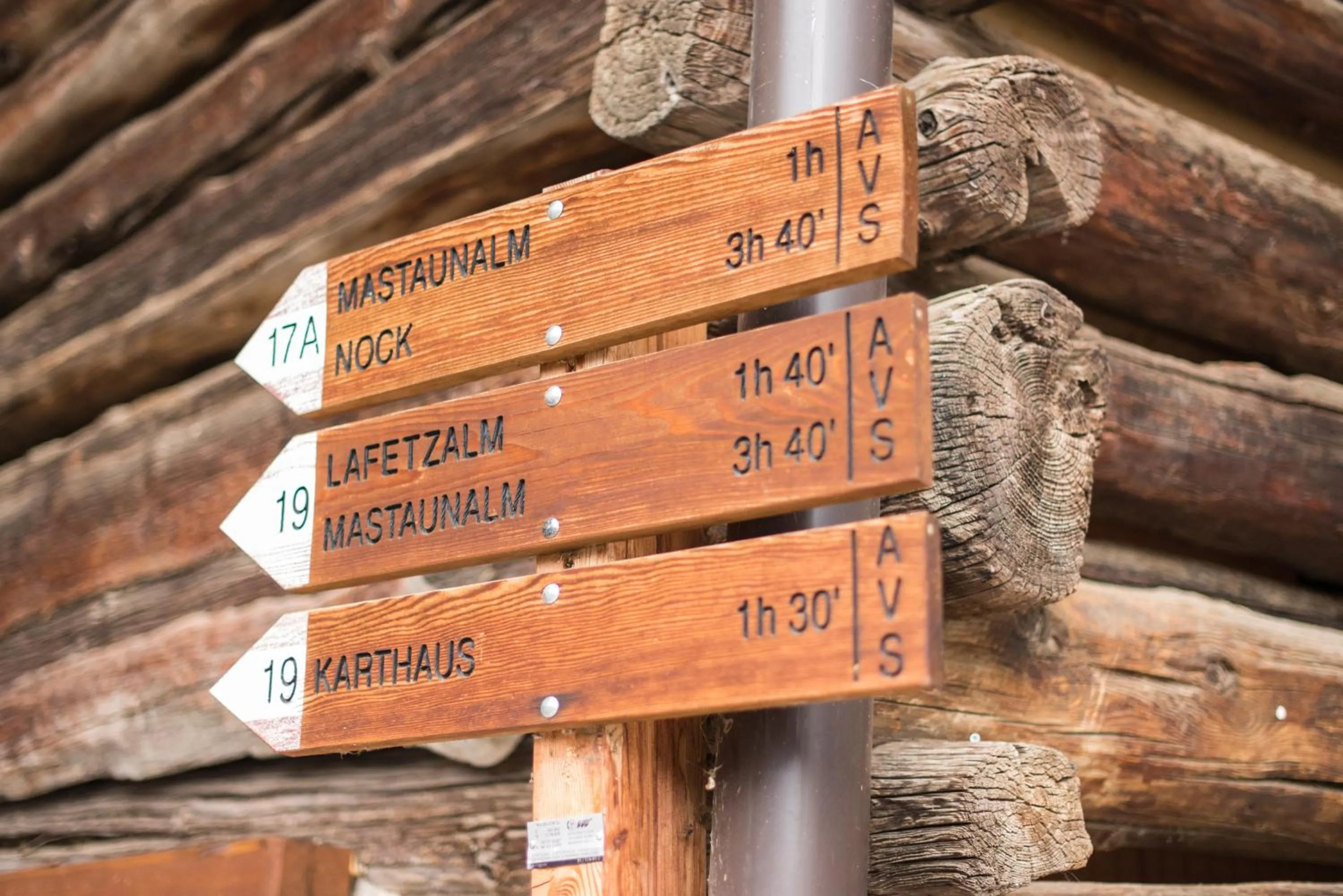 Entertainment in Tonzhaus Hotel